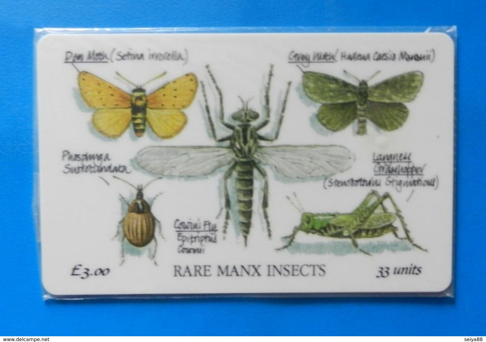 Manx Isle Of Man Moth Insect Bug Insects Fly Beetle Grasshopper - Altri & Non Classificati