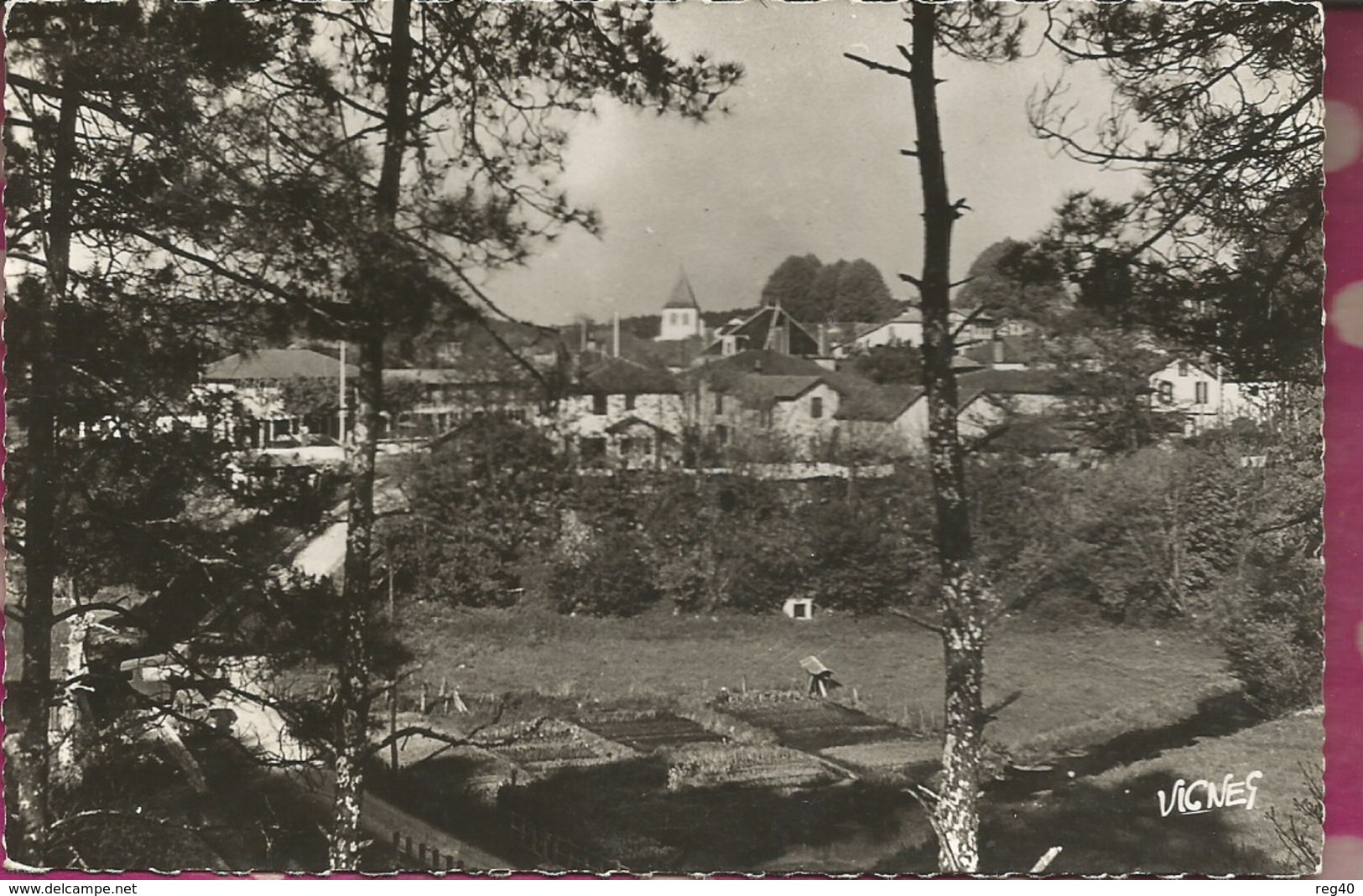 D40 - CASTETS DES LANDES - Un Coin Du Village - Castets