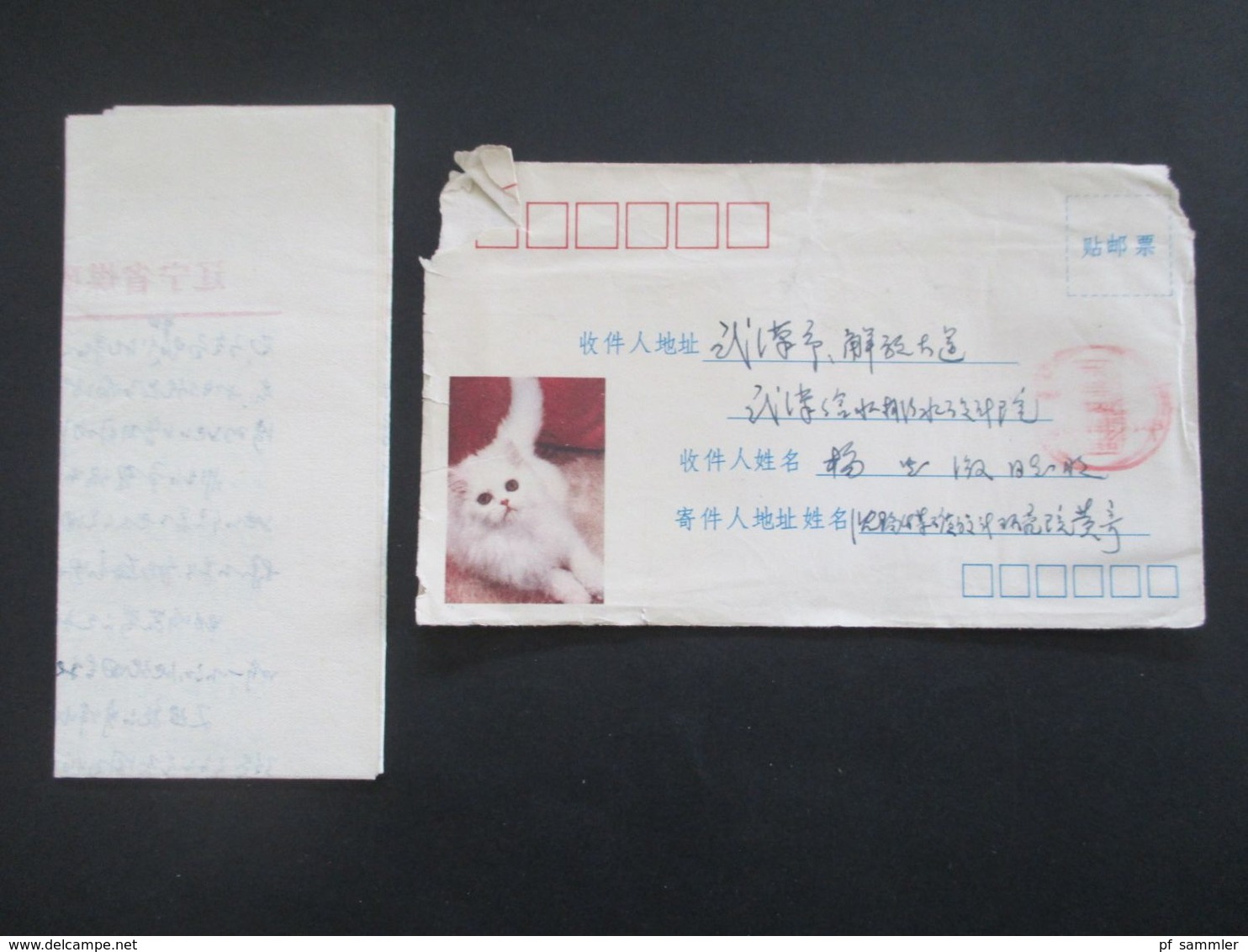 VR China 1960er Jahre Umschlag Mit Weißer Katze. Roter Stempel. Brief Mit Inhalt! - Brieven En Documenten