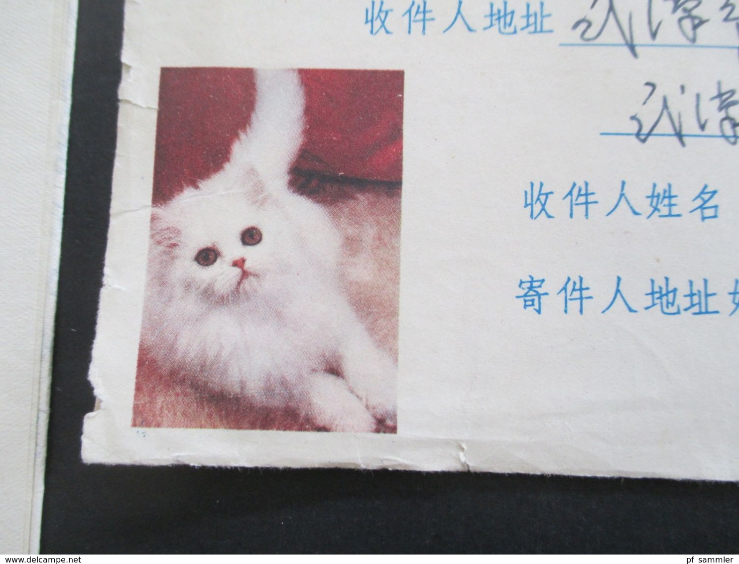 VR China 1960er Jahre Umschlag Mit Weißer Katze. Roter Stempel. Brief Mit Inhalt! - Lettres & Documents