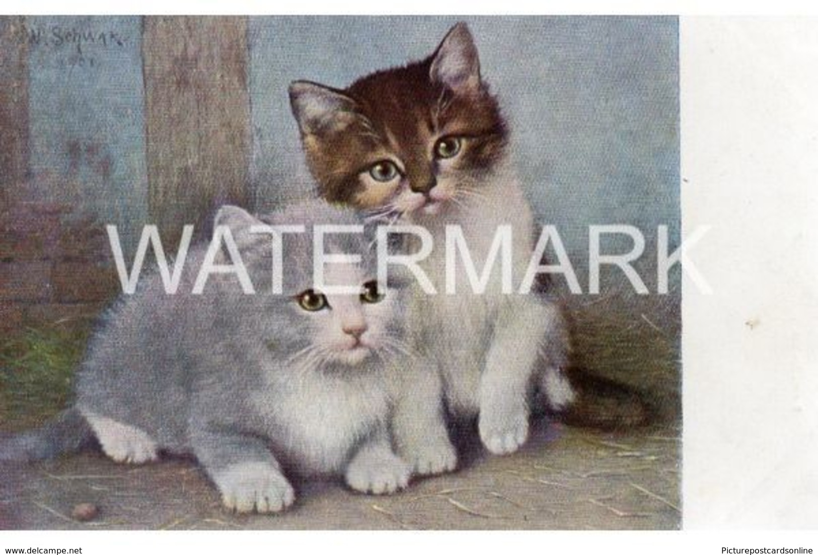TWO CATS OLD COLOUR ART POSTCARD ARTIST SIGNED W. SCHWAR 1901 GERMANY - Altri & Non Classificati