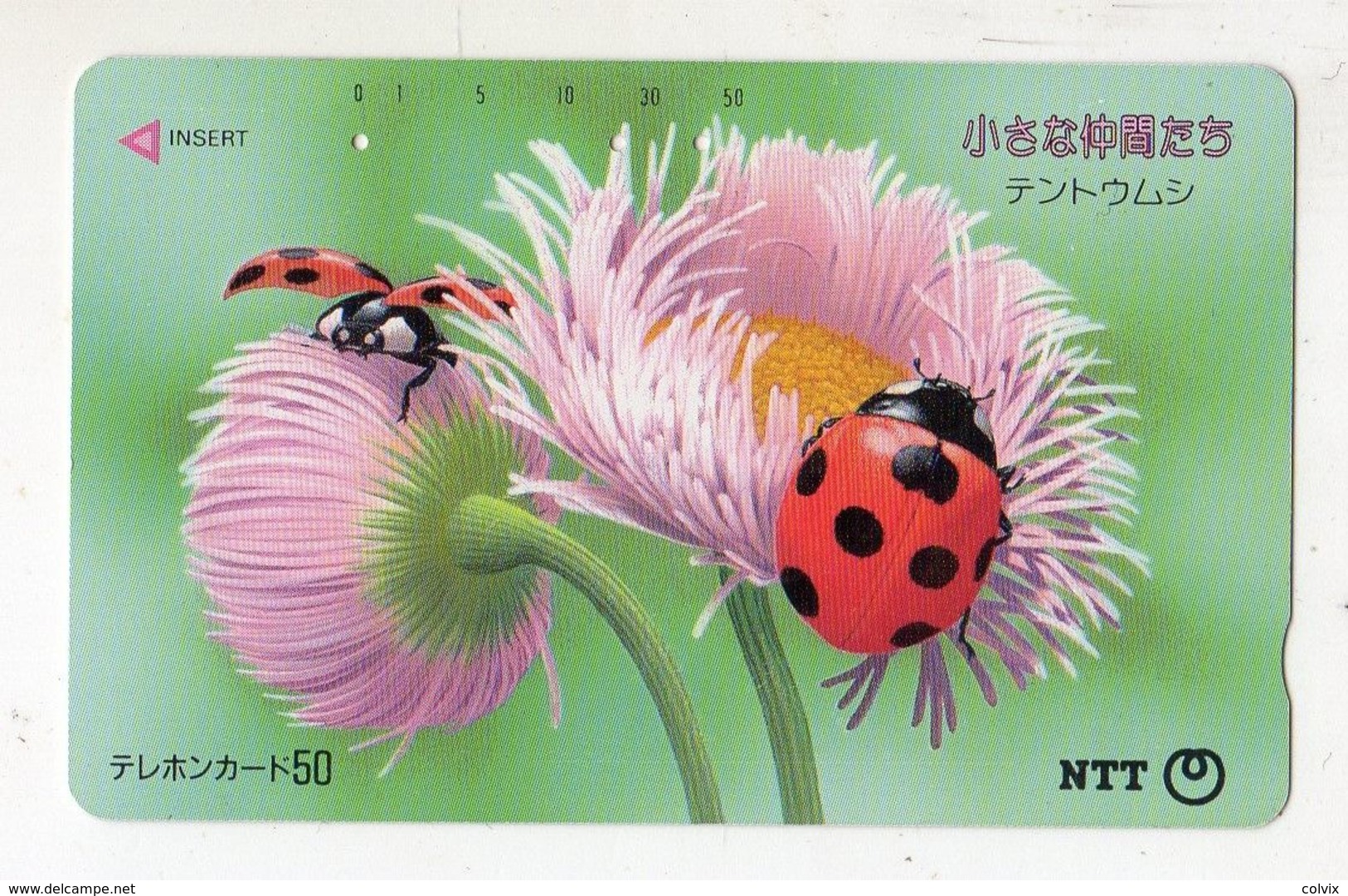 JAPON TELECARTE COCCINELLE INSECTE - Ladybugs