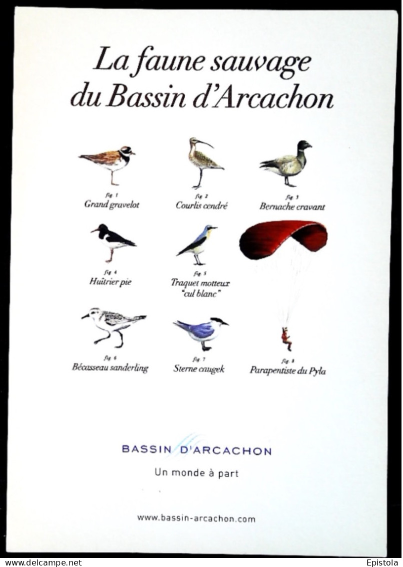 Parapente - Humour Faune Sauvage Du Bassin D'Arcachon - Publicité Office Du Tourisme - Parachutisme