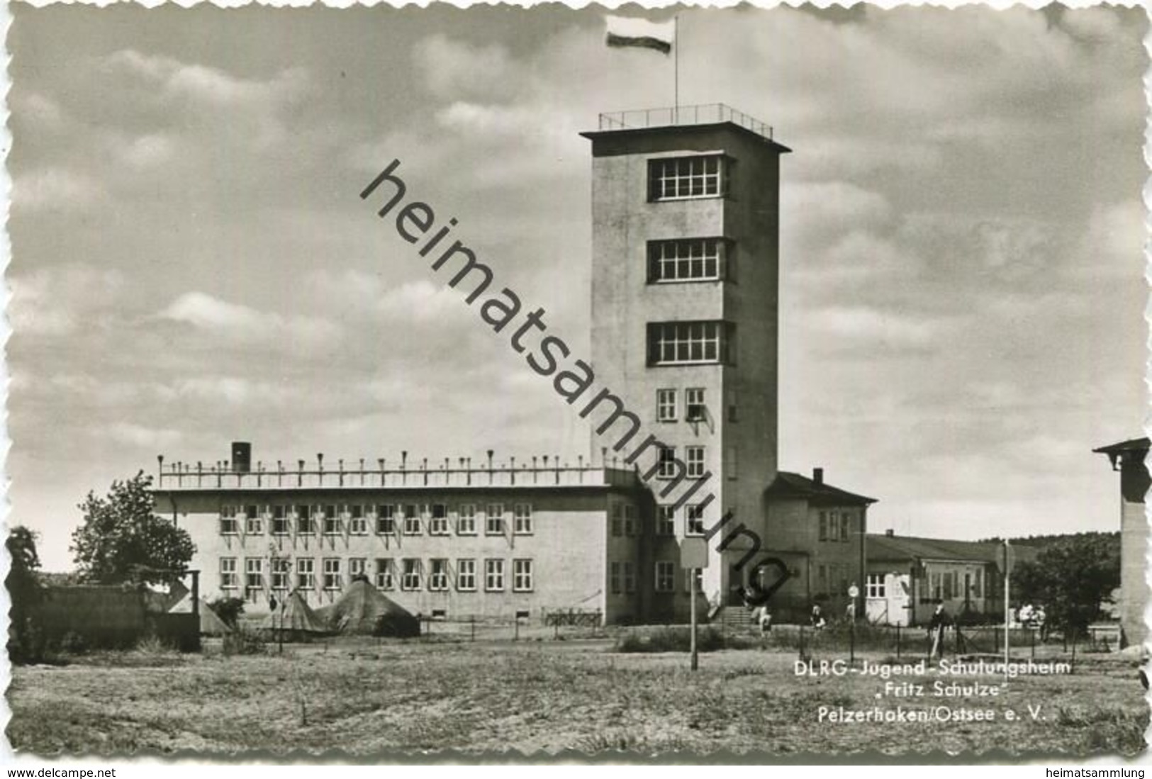 Pelzerhaken Ostsee - DLRG-Jugend- Schulungsheim "Fritz Schulze" - Foto-AK 60er Jahre - Cramers Kunstanstalt KG Dortmund - Neustadt (Holstein)