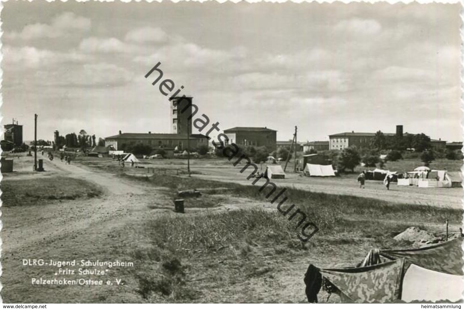 Pelzerhaken Ostsee - DLRG-Jugend- Schulungsheim "Fritz Schulze" - Foto-AK 60er Jahre - Cramers Kunstanstalt KG Dortmund - Neustadt (Holstein)