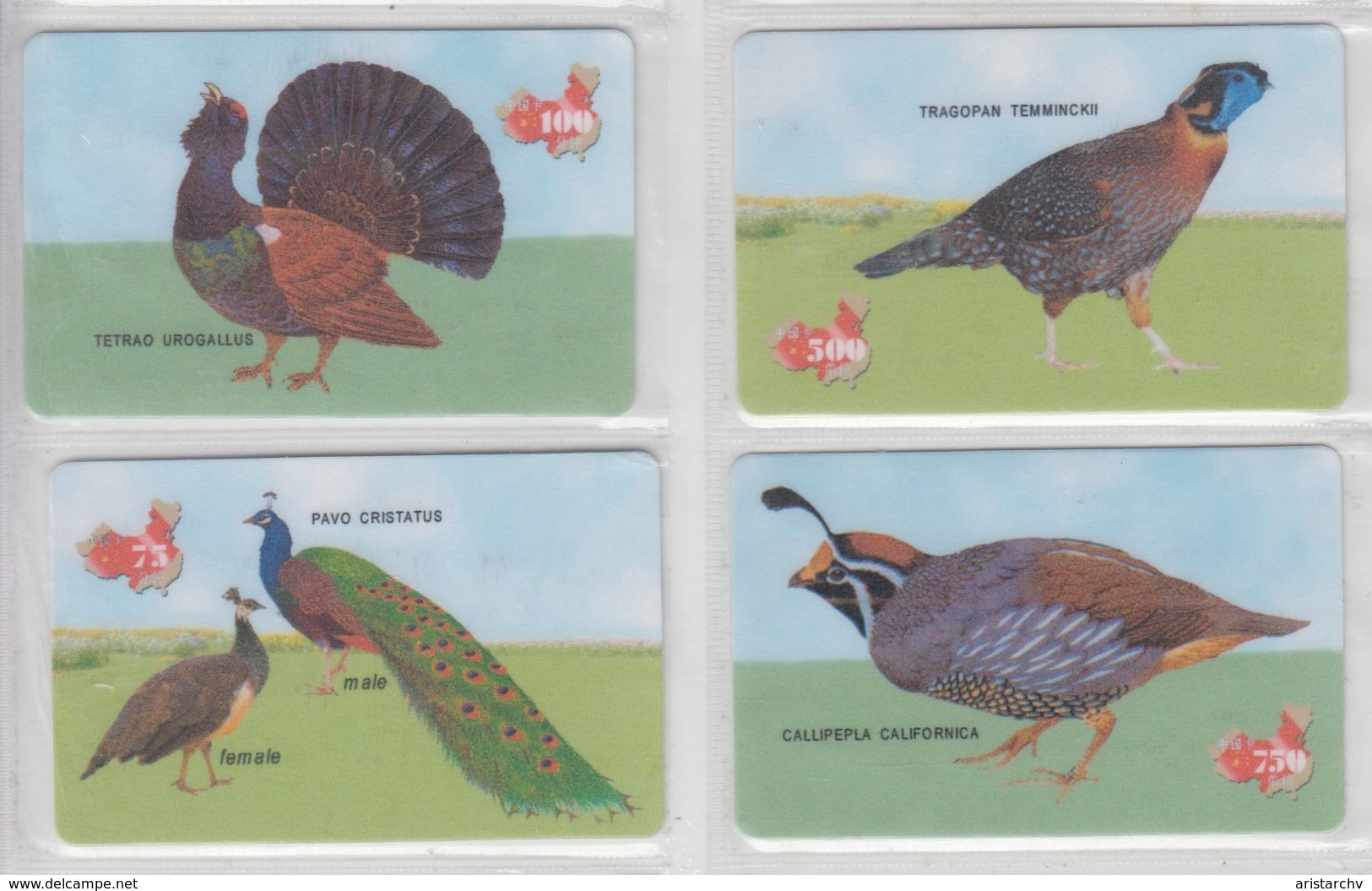 CHINA BIRDS CAPERCAILLIE TRAGOPAN PEAFOWL QUAIL SET OF 4 CARDS - Hoenderachtigen & Fazanten