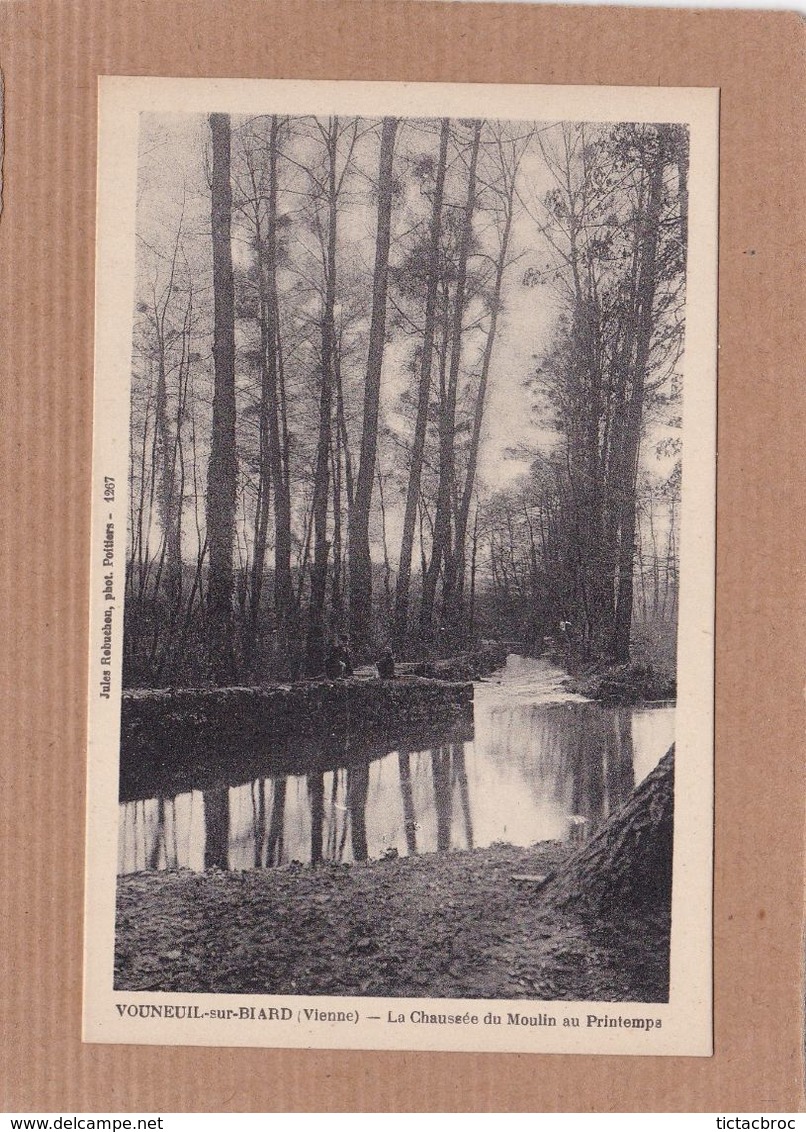 CPA Vouneuil-sur-Biard La Chaussée Du Moulin Au Printemps Jules Robuchon Poitiers - Vouneuil Sous Biard