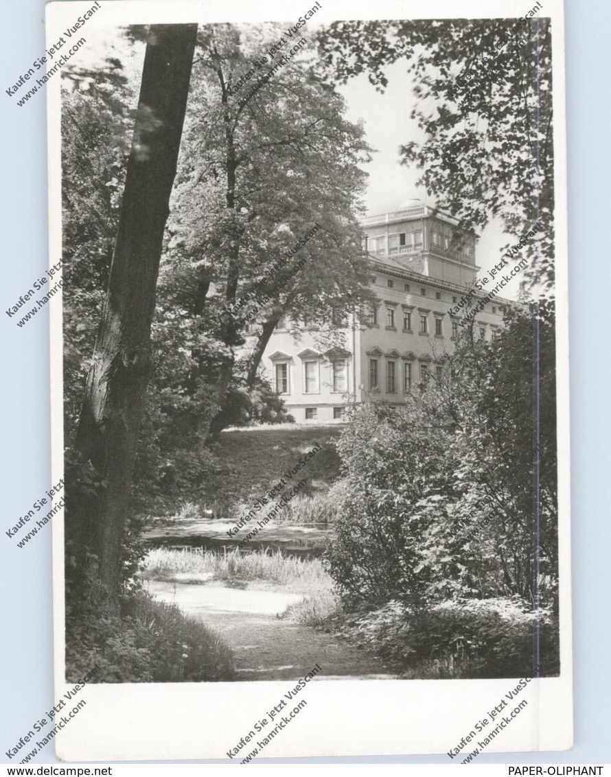 0-4414 WÖRLITZ, Der Park Zu Wörlitz, Blick Auf Das Schloß, Deutscher Kunst Verlag - Wörlitz