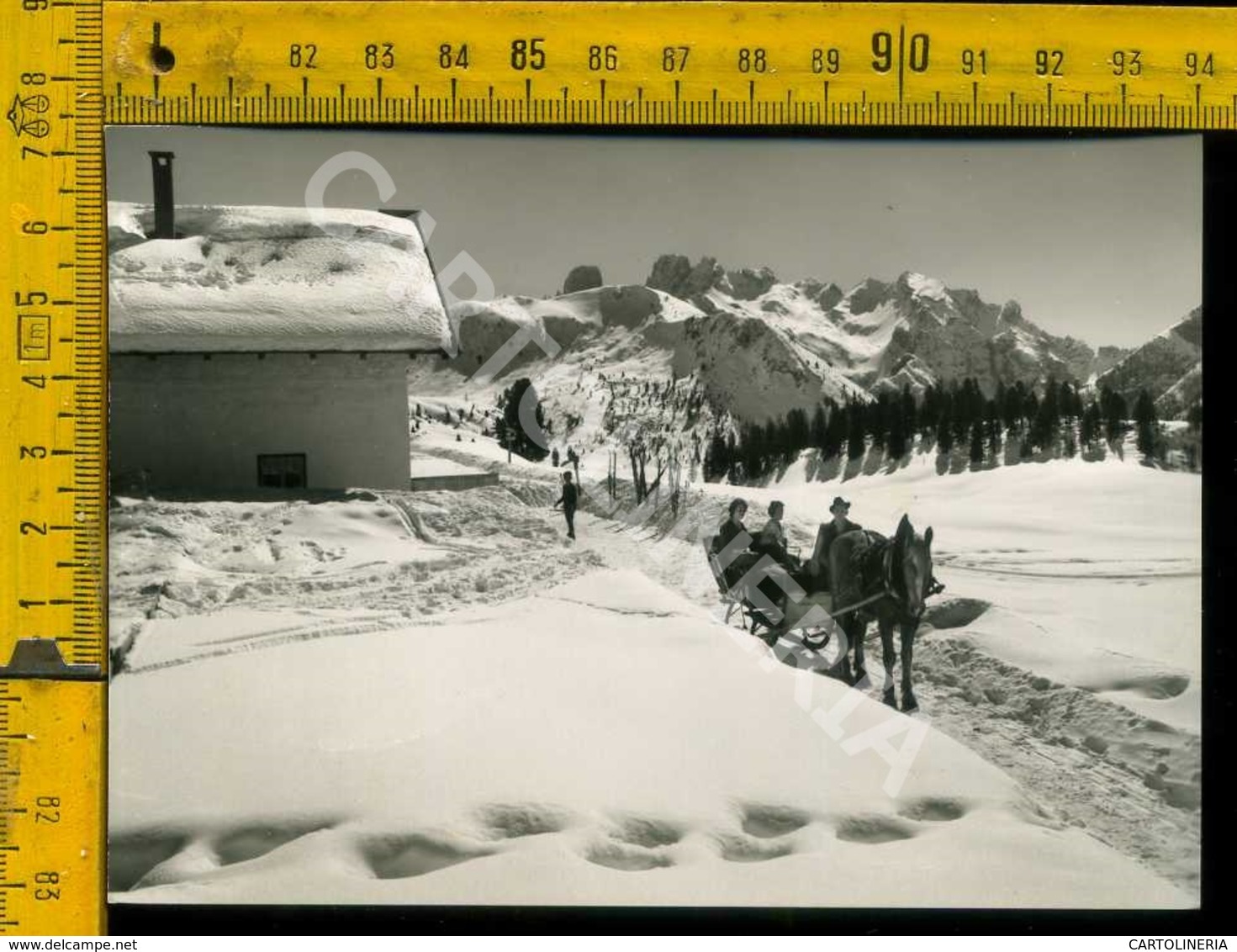 Bolzano Rif. Prato Piazza Verso Il Monte Cristallo - Bolzano