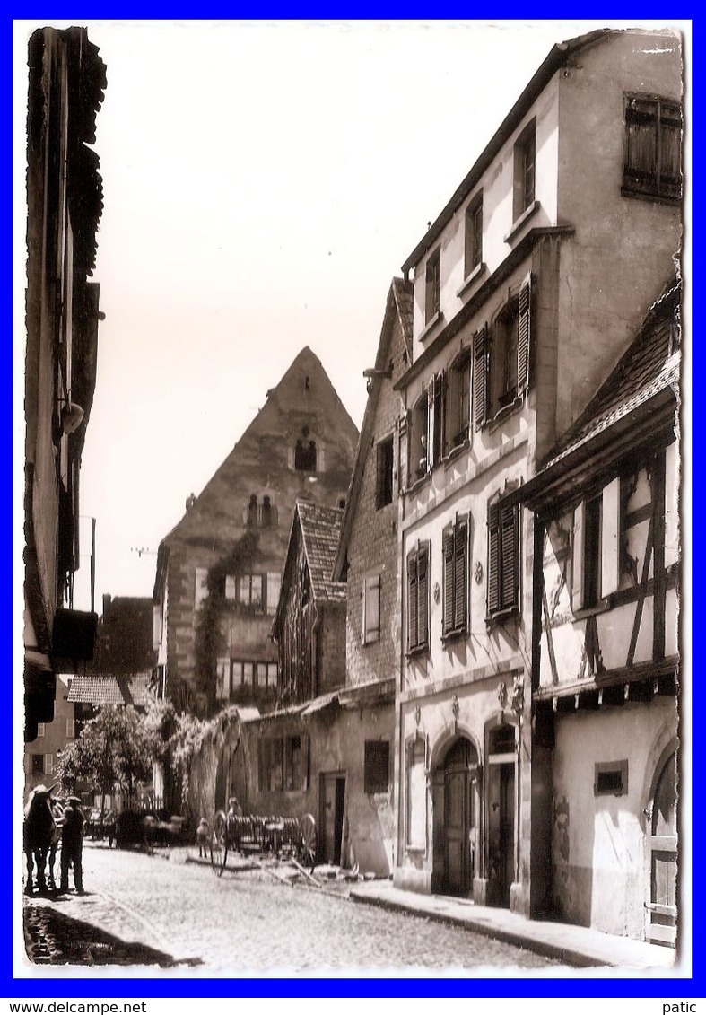 67 OBERNAI Maison Shohm - Obernai