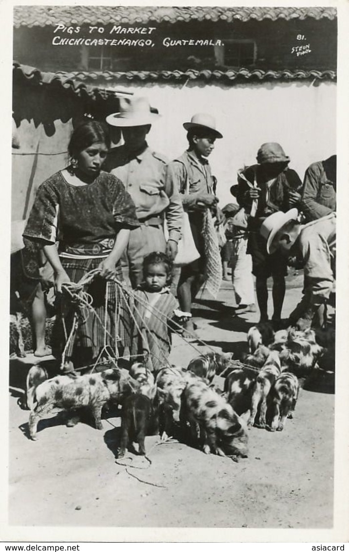 Real Photo Chichicastenango Pigs To Market  Foto Stein  Stamp . Indios - Guatemala