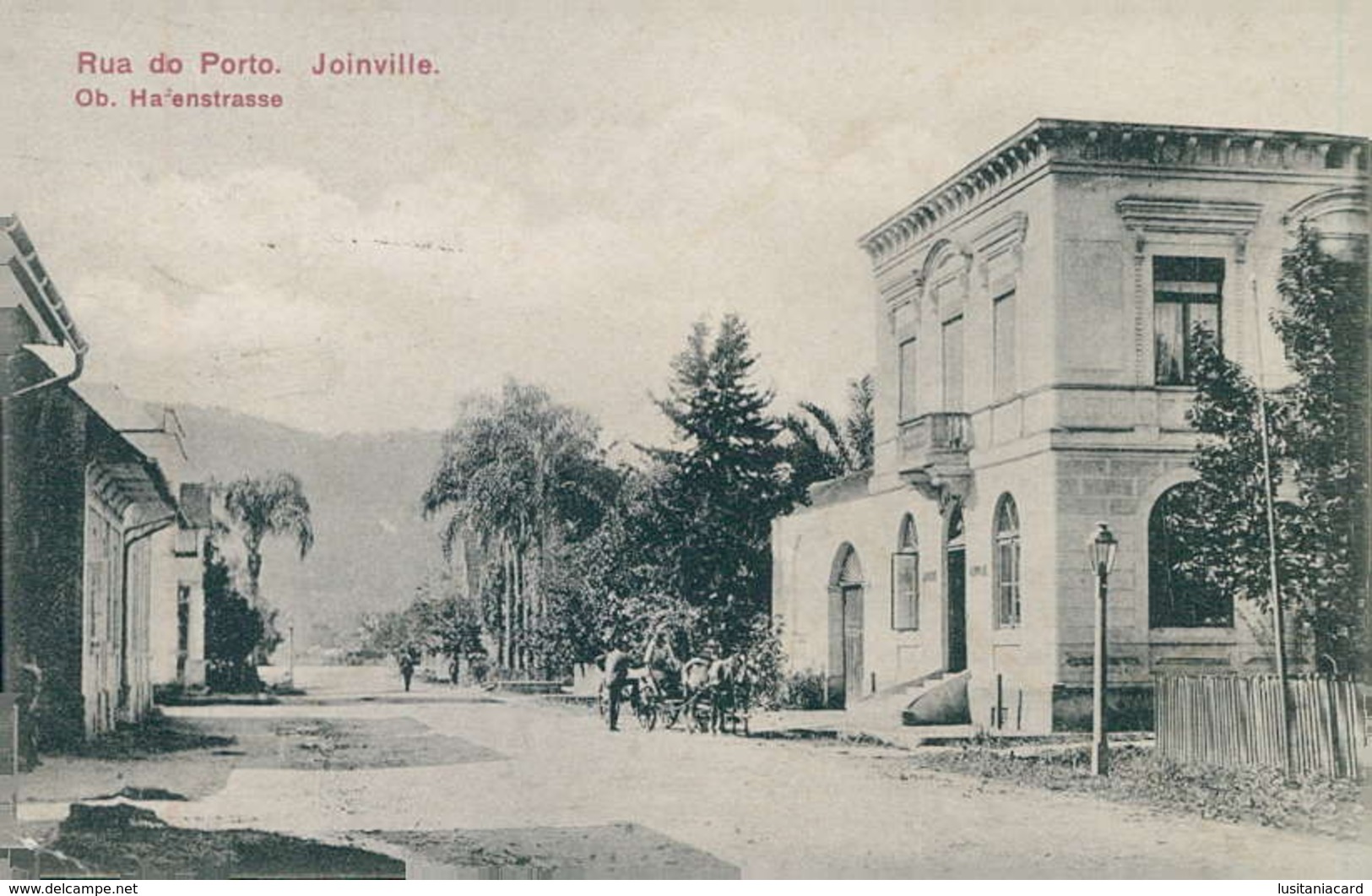 SANTA CATARINA - JOINVILLE- Rua Do Porto. ( Ed. Verlag Von H.Quidde)   Carte Postale - Florianópolis