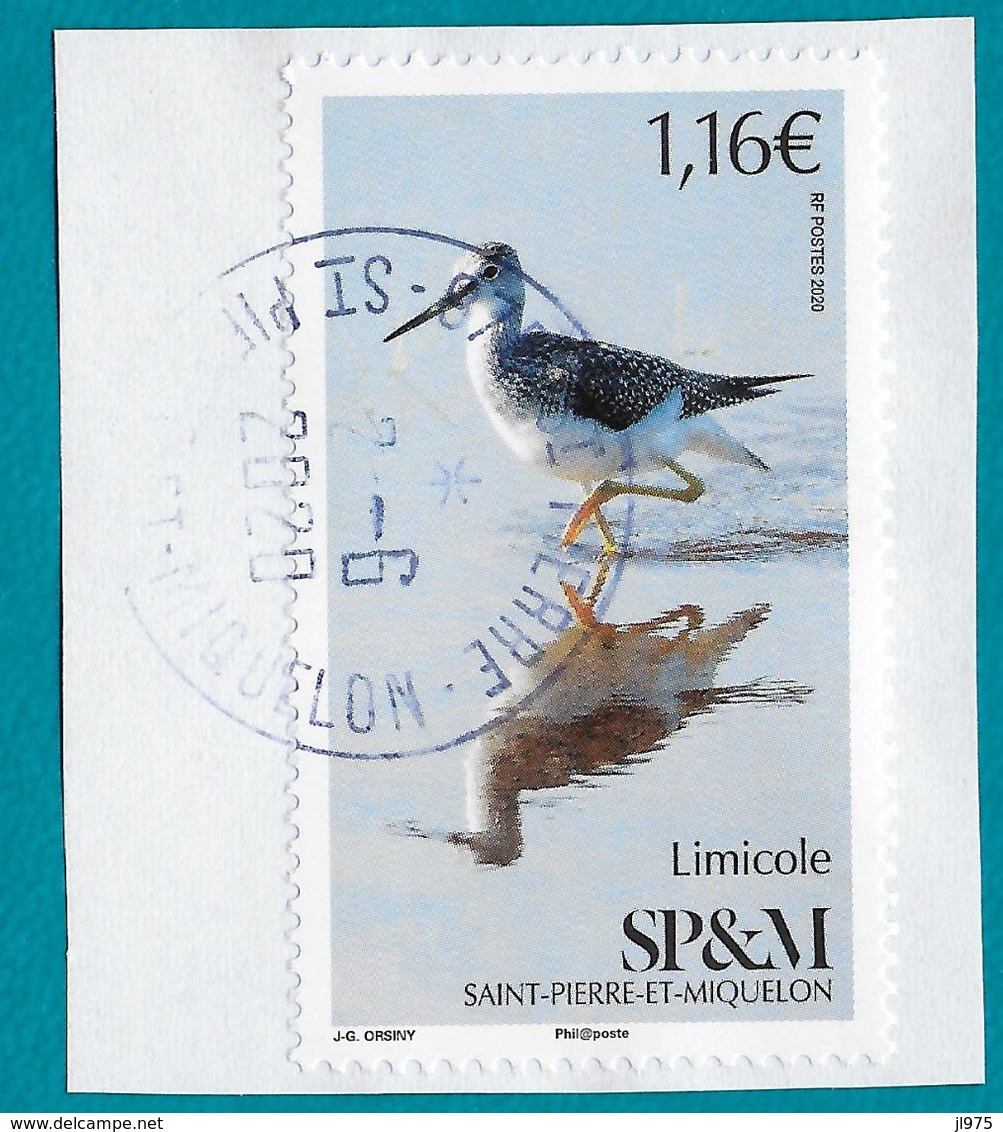 St.Pierre Et Miquelon 2020 Oblitéré  YT 1232  OISEAU "  Limicole  " Cachet St.Pierre 2020 - Used Stamps