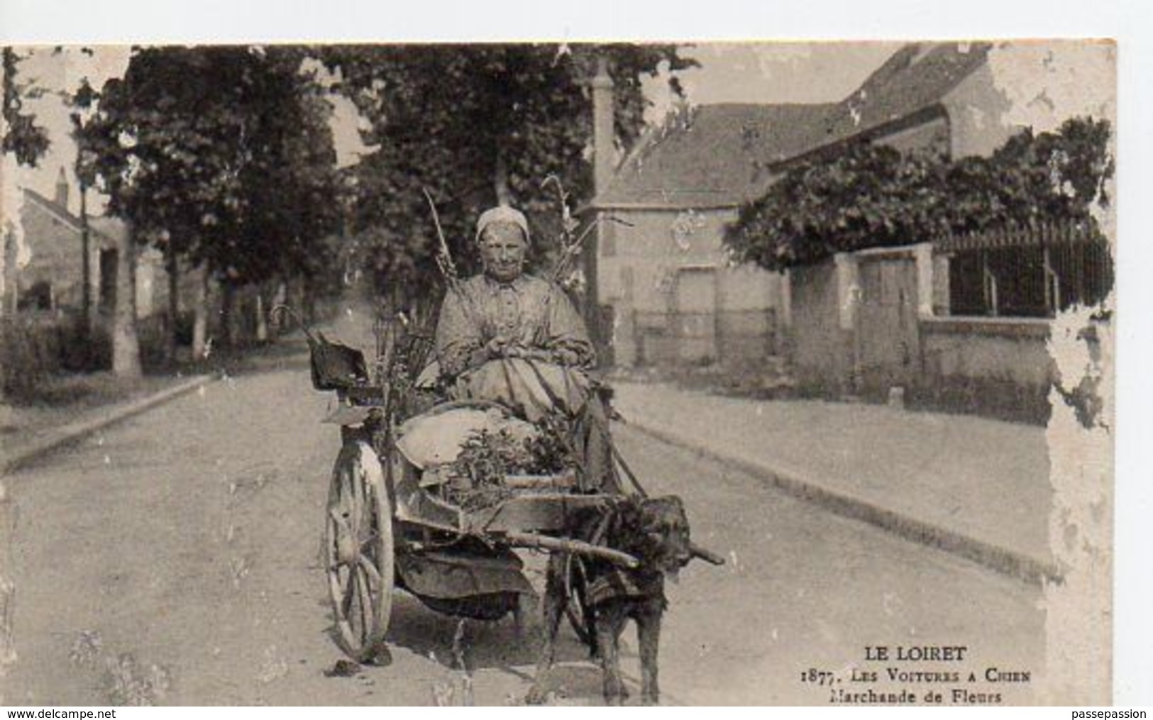 LE LOIRET - Les Voitures à Chien - Marchande De Fleurs Se Rendant Au Marché De Gien - Gien