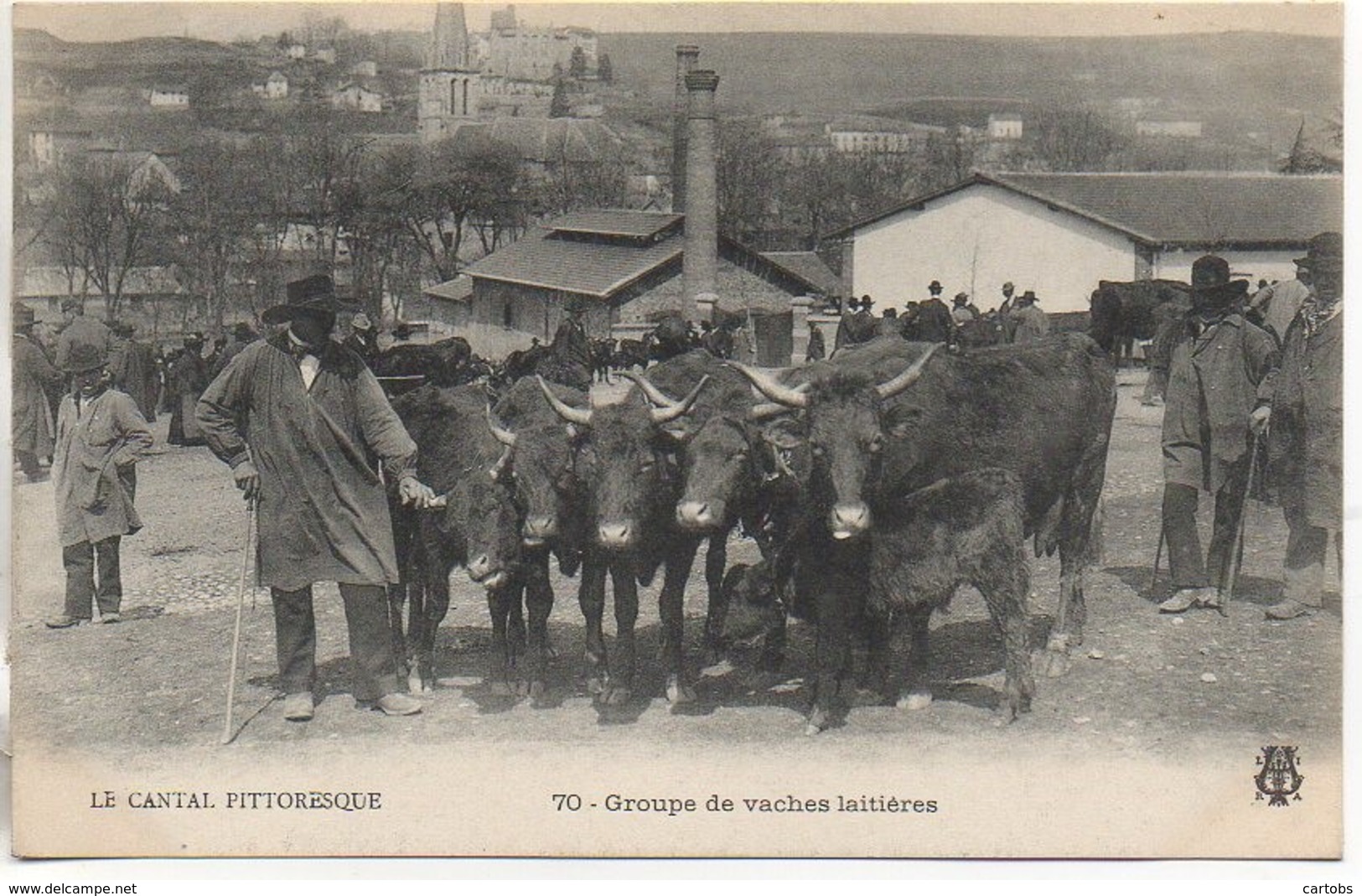 15 Cantal Pittoresque  Groupe De Vaches Laitières - Sonstige & Ohne Zuordnung