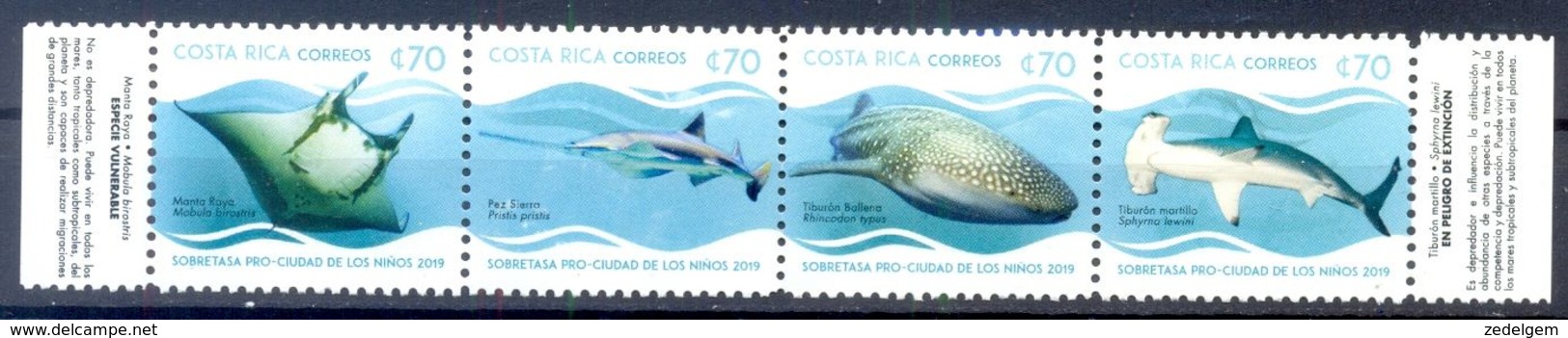 COSTA RICA (FAU 602) - Fische