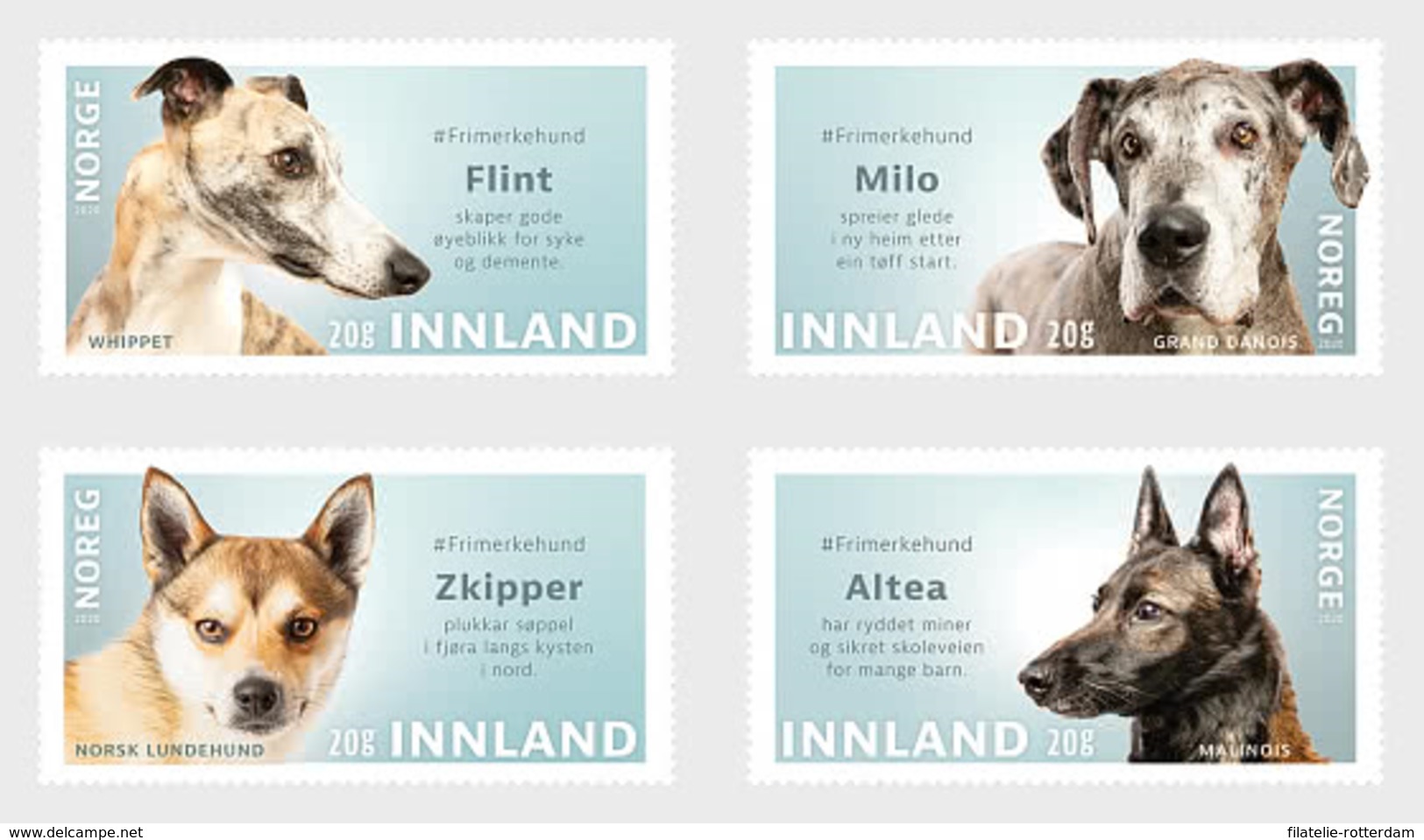 Noorwegen / Norway - Postfris / MNH - Complete Set Honden 2020 - Ongebruikt