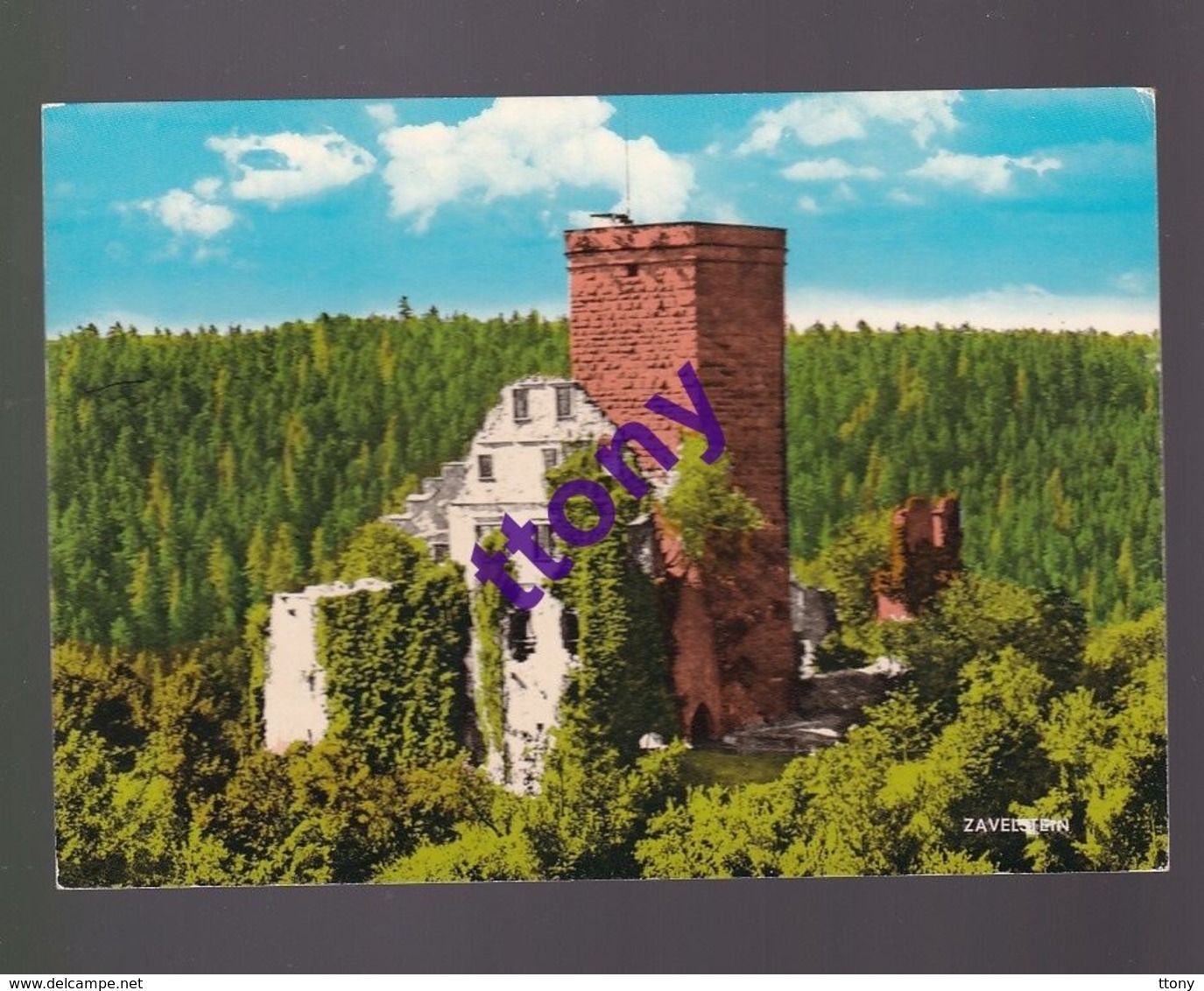 CPM  :   Bad Teinach Zavelstein Burg   Ruine    Carte Vierge - Bad Teinach