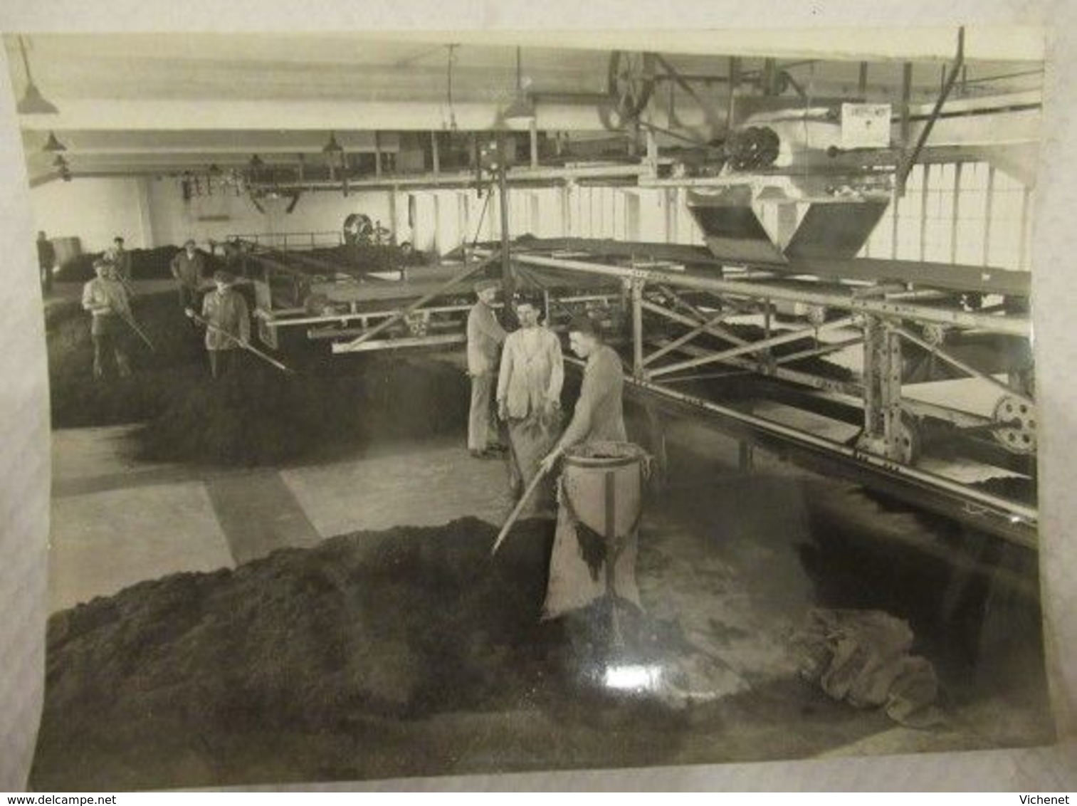 Usines Gosset, Entreposage Et Coupe Des Tabacs, Cigarettes Saint-Michel, Rue Gabriele Petit - Molenbeek Saint-Jean -1931 - Orte