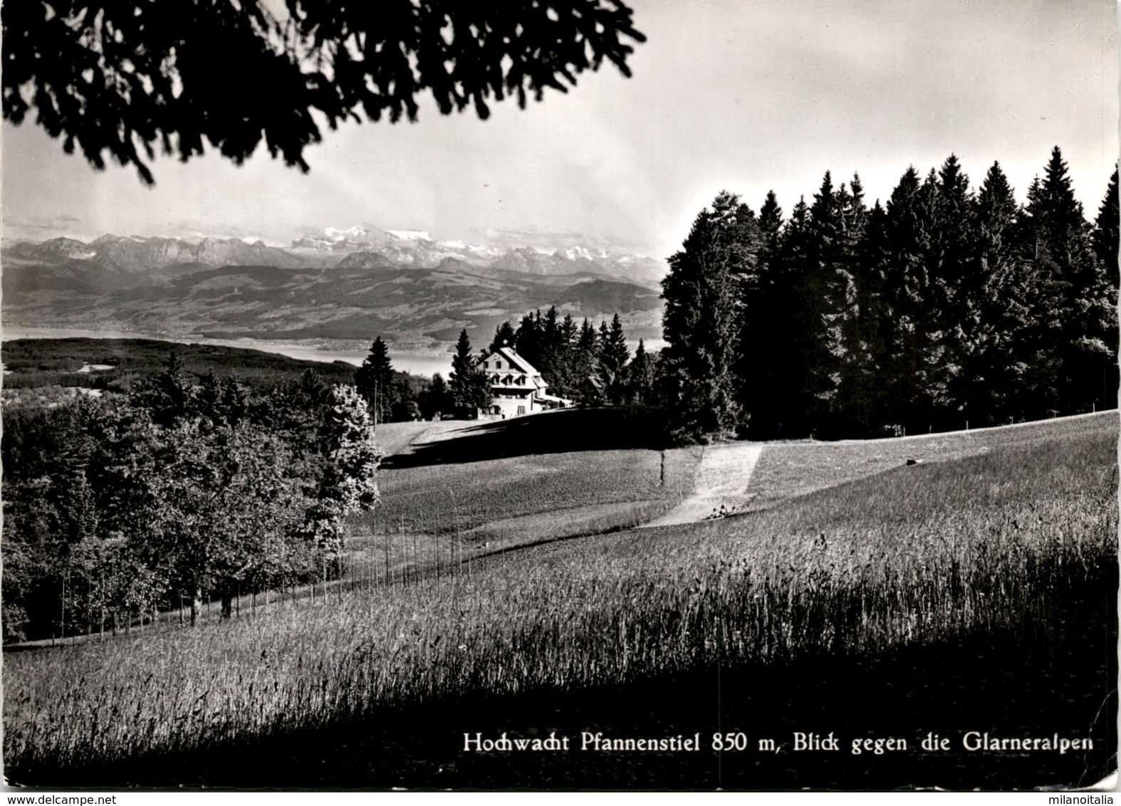 Hochwacht Pfannenstiel 850 M, Blick Gegen Die Glarneralpen (8592) * Egg 26. 7. 1965 - Egg