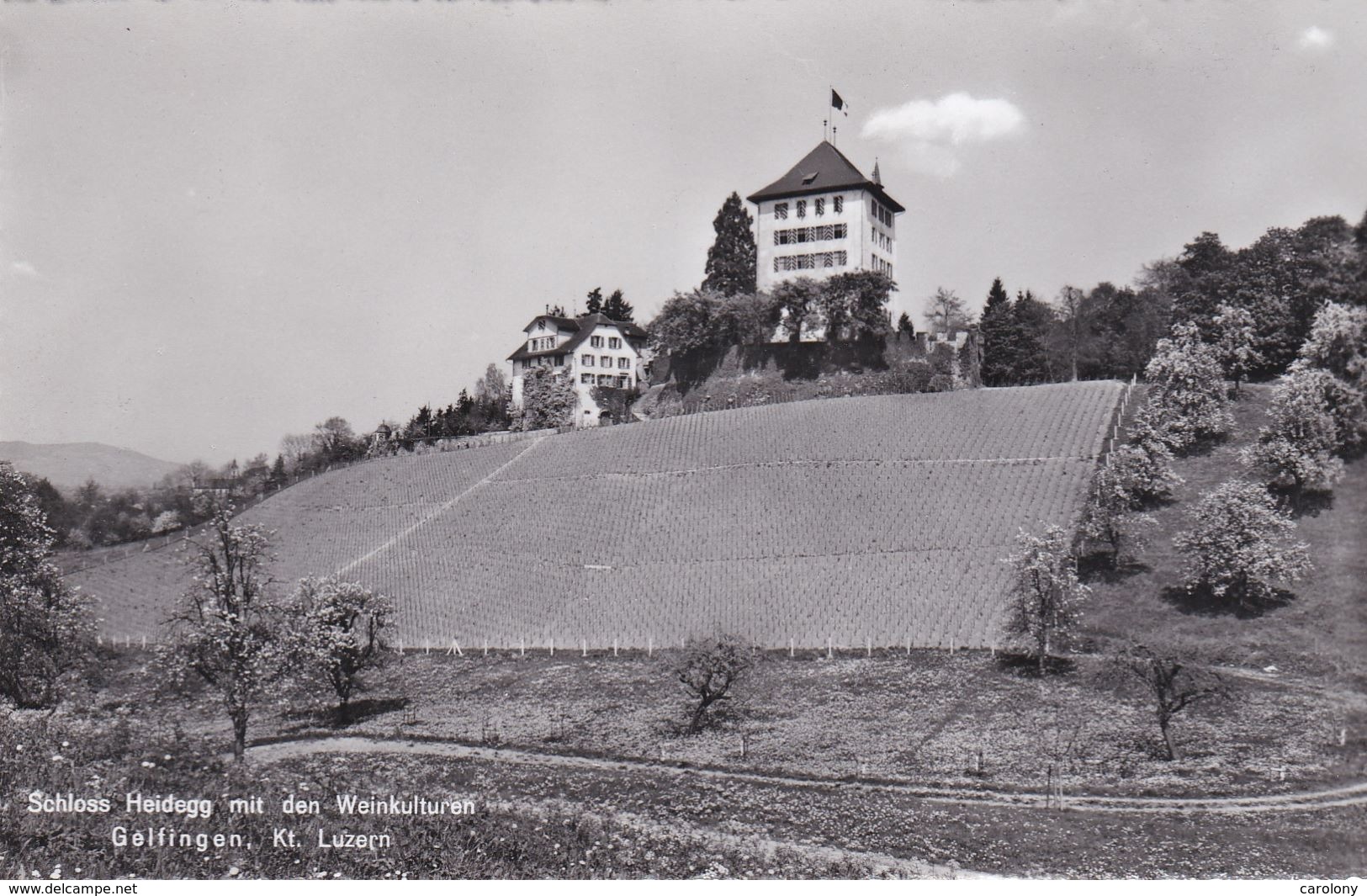 Hôtel Sternen Gelfingen  Kt Luzern - Gelfingen