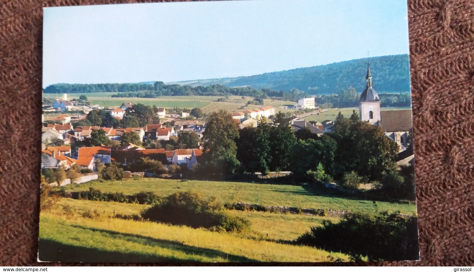 CPSM DOULAINCOURT HTE MARNE VUE GENERALE VALLEE DU ROGNON ED ESTEL 1975 - Doulaincourt