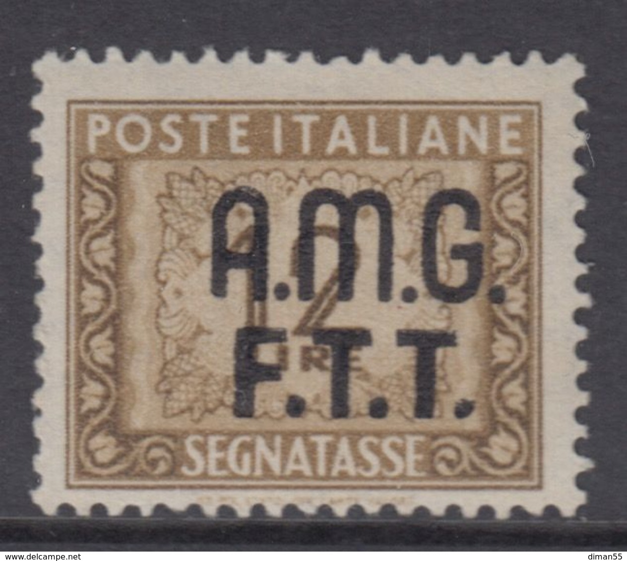 Trieste Zona A - AMG-FTT - Segnatasse N.13 - Cat. 70 Euro  - Gomma Integra - MNH** - Portomarken