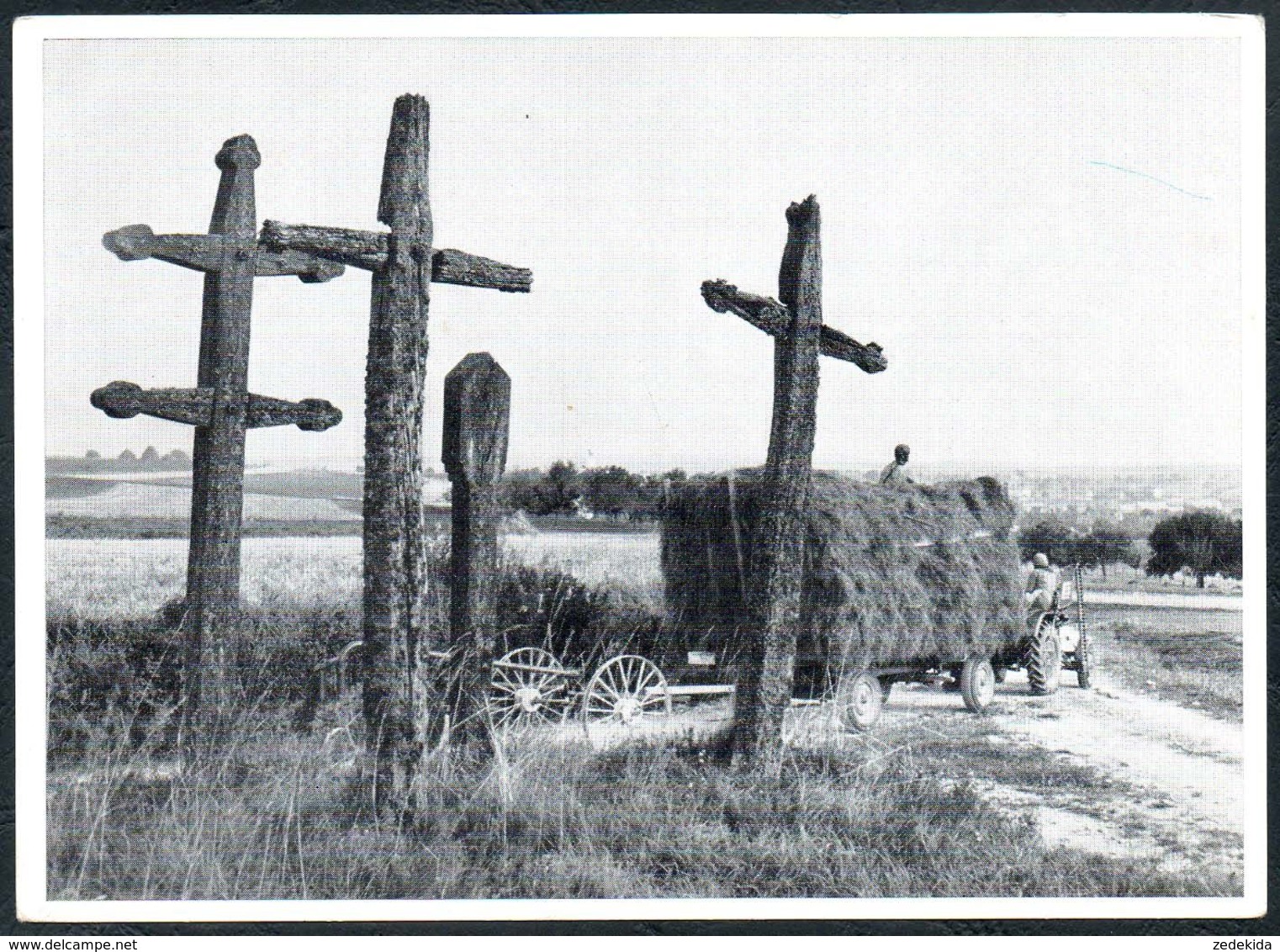 D7437 - Engen Im Hegau - Pestkreuze Traktor Trecker - Jugendsammlung 1959 - Foto Lauterwasser Überlingen - Konstanz