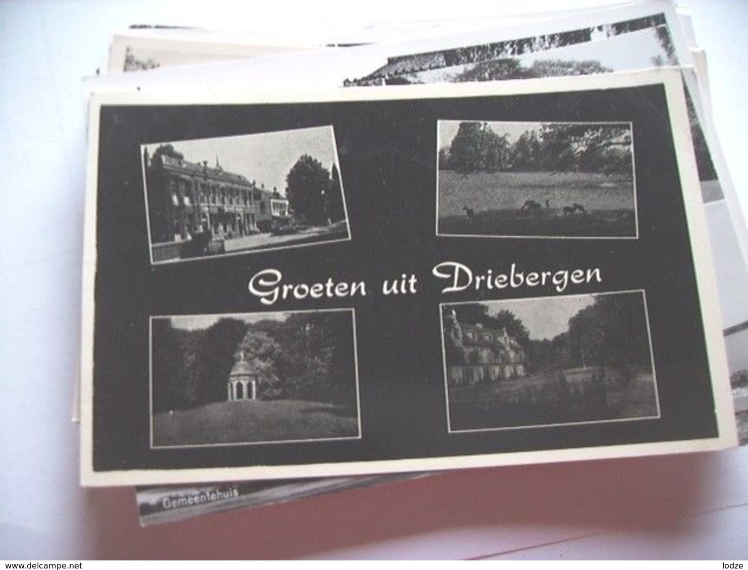 Nederland Holland Pays Bas Driebergen Met Gebouwen En Natuur - Driebergen – Rijsenburg