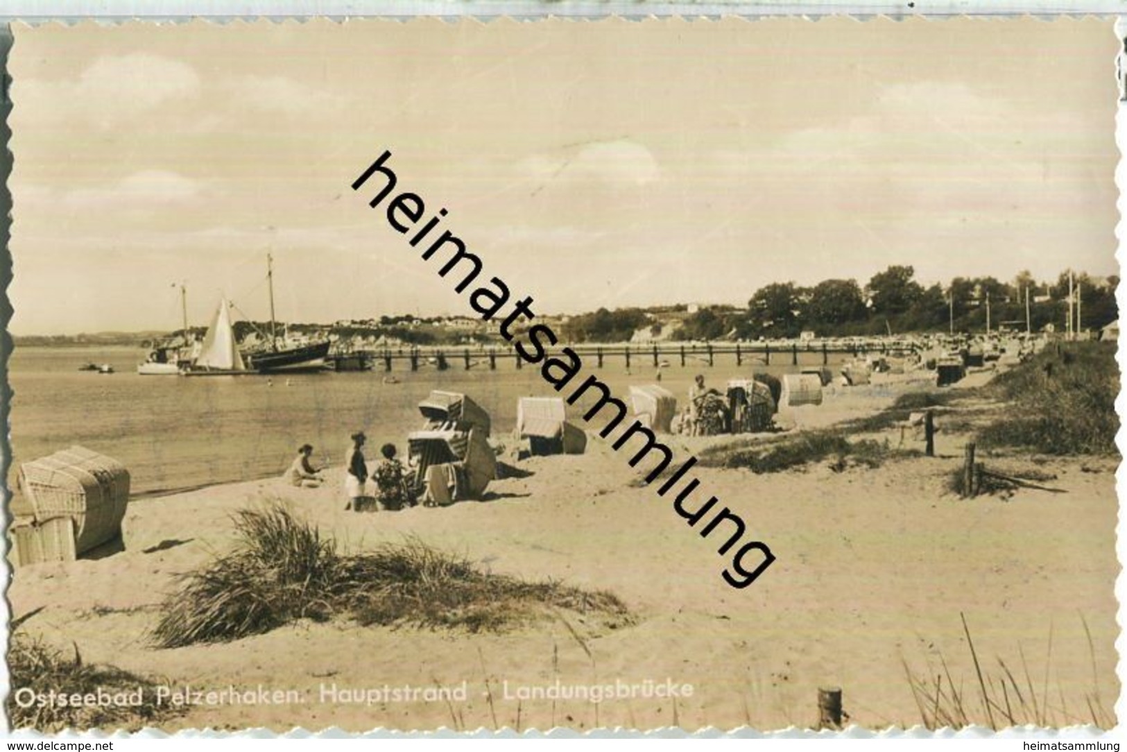 Pelzerhaken - Strand - Landungsbrücke - Foto-Ansichtskarte - Neustadt (Holstein)