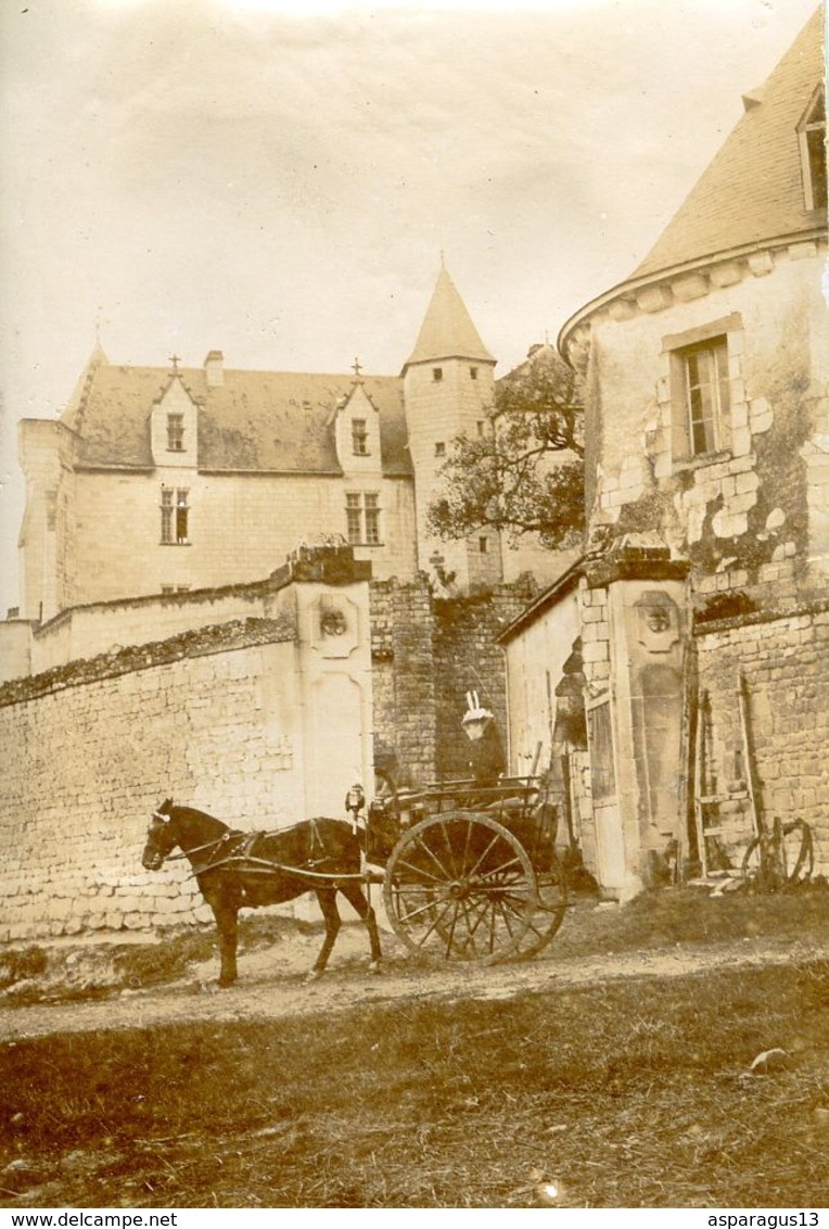 Usseau Le Château Environs De Chatellerault Photo Format 5.5x8.5 - Ancianas (antes De 1900)