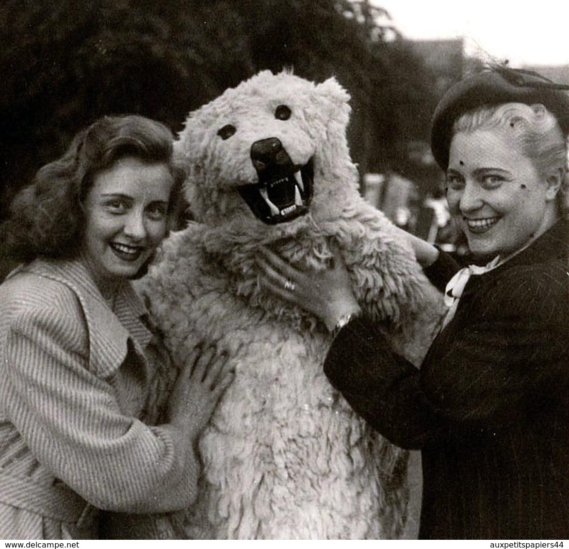 Carte Photo Originale Déguisement D'Ours Blanc Polaire & Eisbär Bien Entouré De 2 Charmantes Jeunes Femmes 1950/60 - Anonieme Personen