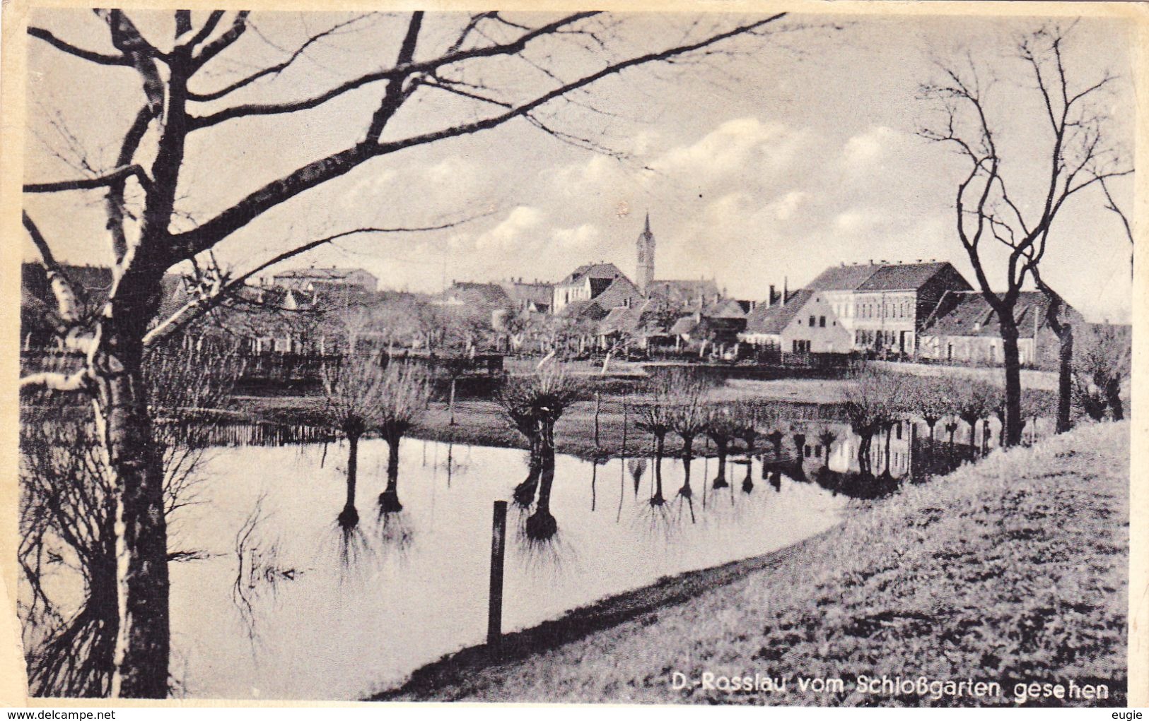 1587/ D - Rosslau Vom Schlossgarten Gesehen, - Rosslau