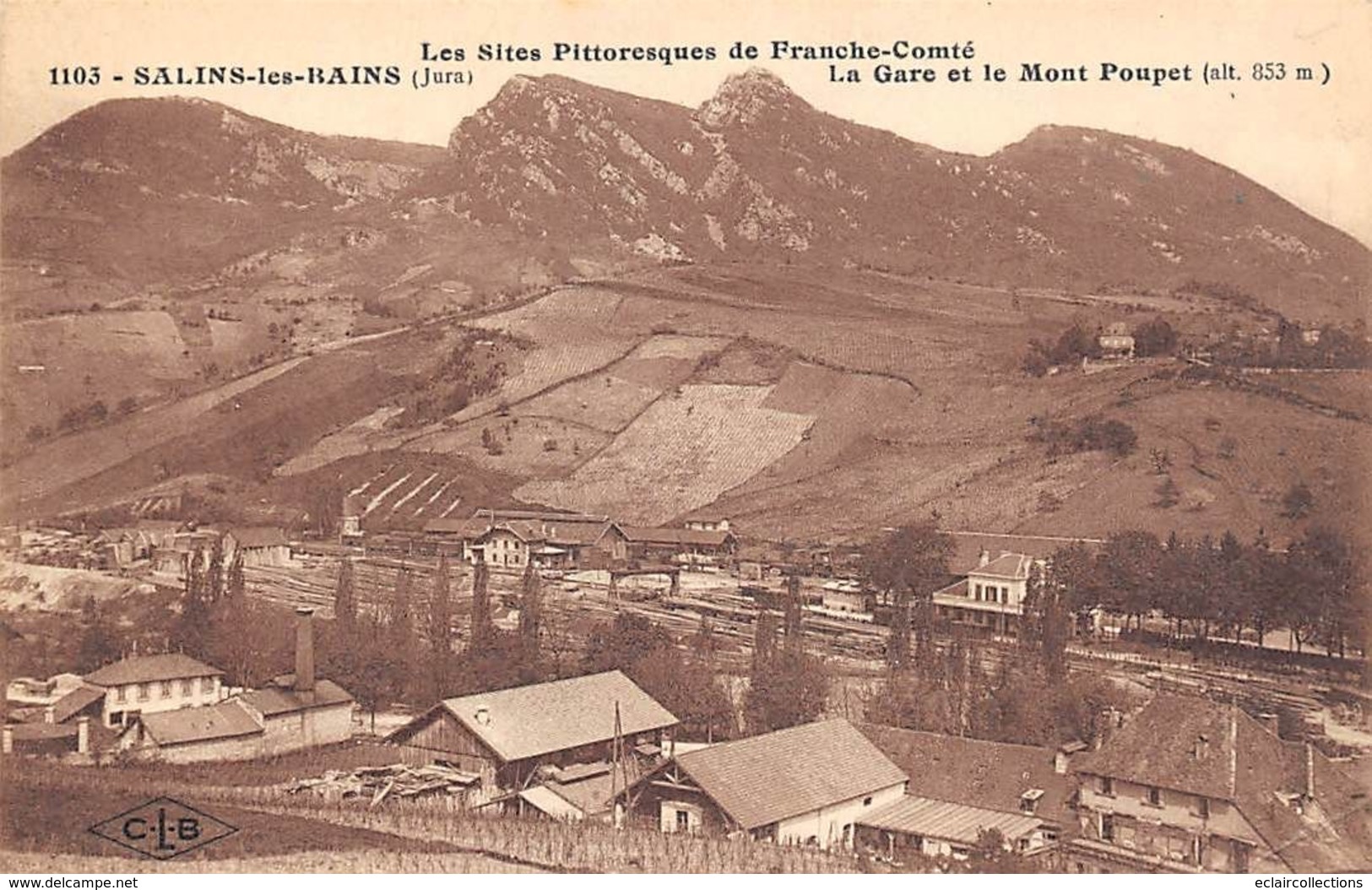 Salins Les Bains         39        La Gare Et Le Mont Poupet           ( Voir Scan) - Andere & Zonder Classificatie