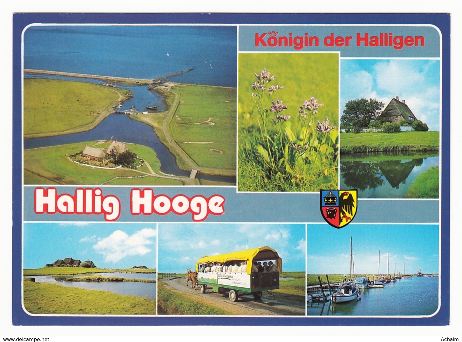 Hallig Hooge - Königin Der Halligen - 6 Ansichten - Halligen