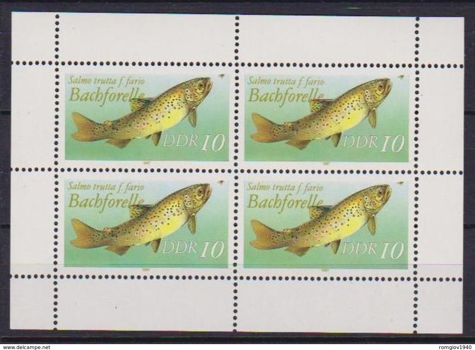 GERMANIA DEMOCRATICA DDR FOGLIETTI 1987 PESCI D'ACQUA DOLCE UNIF. 3096 MNH XF(MINIFOGLIO DA 4) - 1° Giorno – FDC (foglietti)