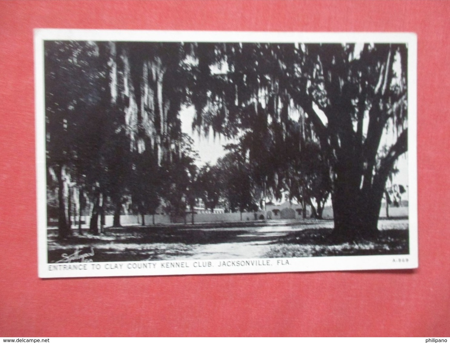 Entrance To Clay Kennel Club - Florida > Jacksonville  Ref 4169 - Jacksonville