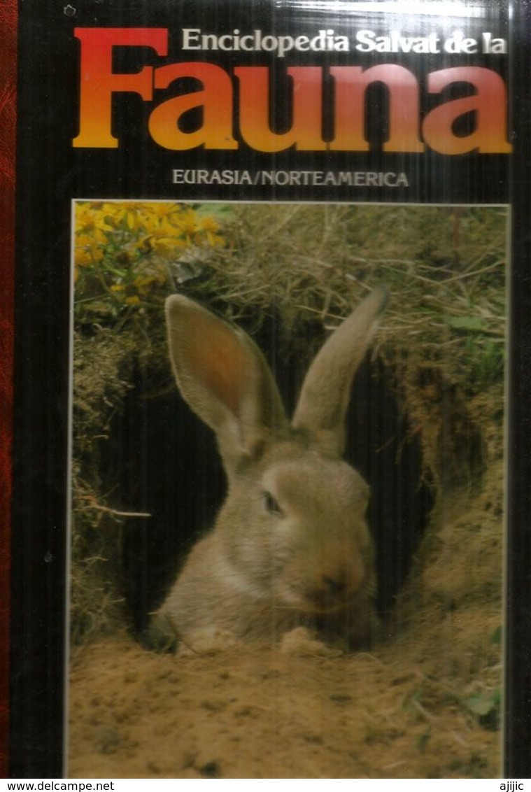 ENCICLOPEDIA SALVAT De La  FAUNA EURASIA/NORTEAMERICA,tapa Dura, Buen Estado General, Edicion 1990, 110 Paginas. - Encyclopédies