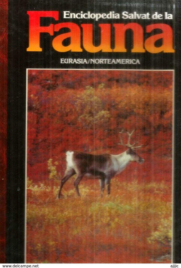 ENCICLOPEDIA SALVAT De La  FAUNA EURASIA/NORTEAMERICA,tapa Dura, Buen Estado General, Edicion 1990, 110 Paginas. - Enciclopedias