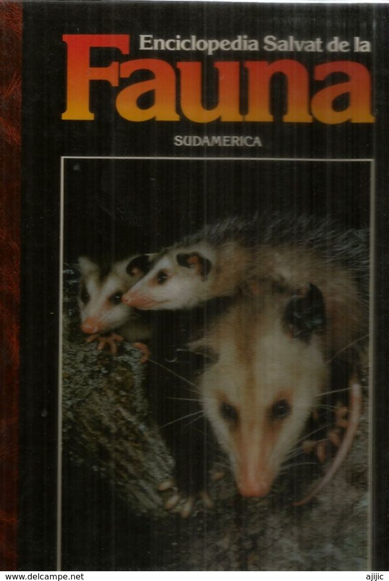 ENCICLOPEDIA SALVAT De La  FAUNA SUD AMERICA ,tapa Dura, Buen Estado General, Edicion 1990, 110 Paginas. - Andere & Zonder Classificatie