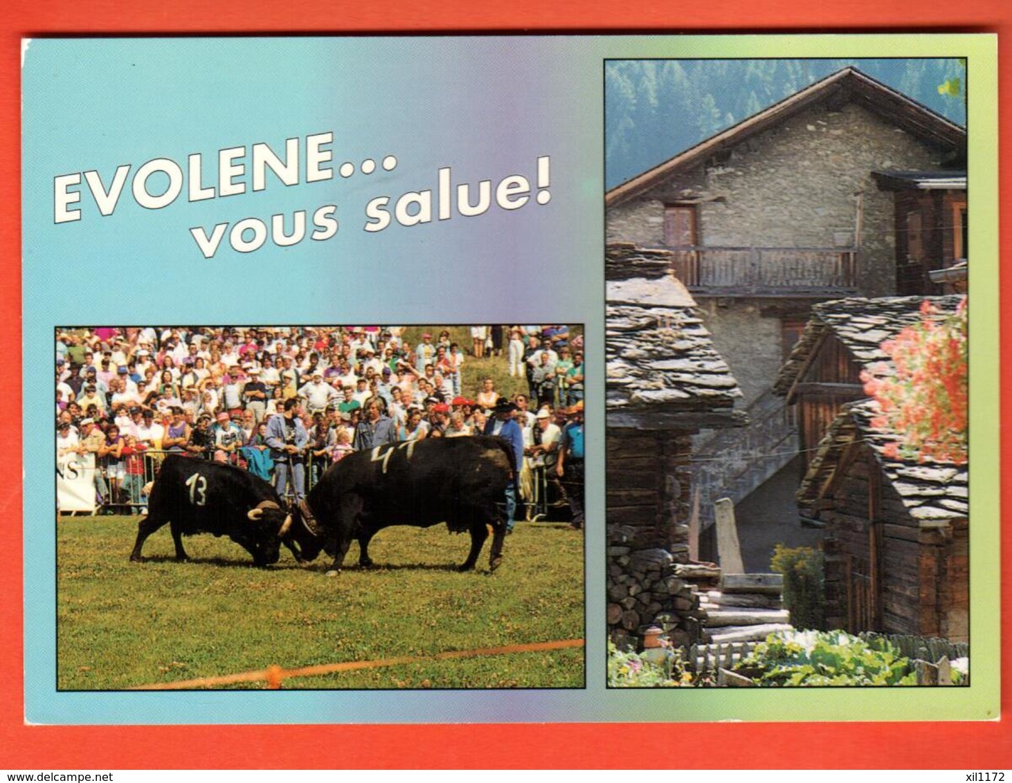 IKC-07 Combat De Reines à Evolène, Vaches D'Hérens. Multivues.  Non Circulé.Grand Format - Evolène