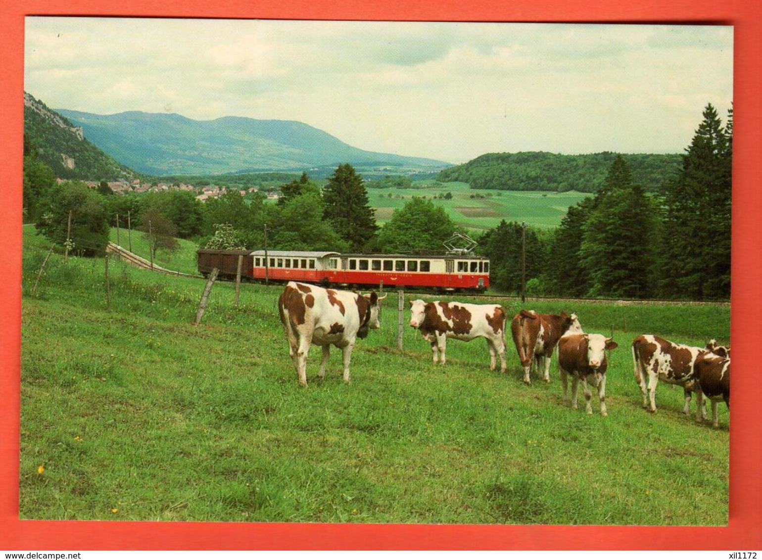 IKC-10  Troupeau De Vaches Et Train Yverdon-Ste-Croix Près De Six-Fontaines Non Circulé.Grand Format - Yverdon-les-Bains 