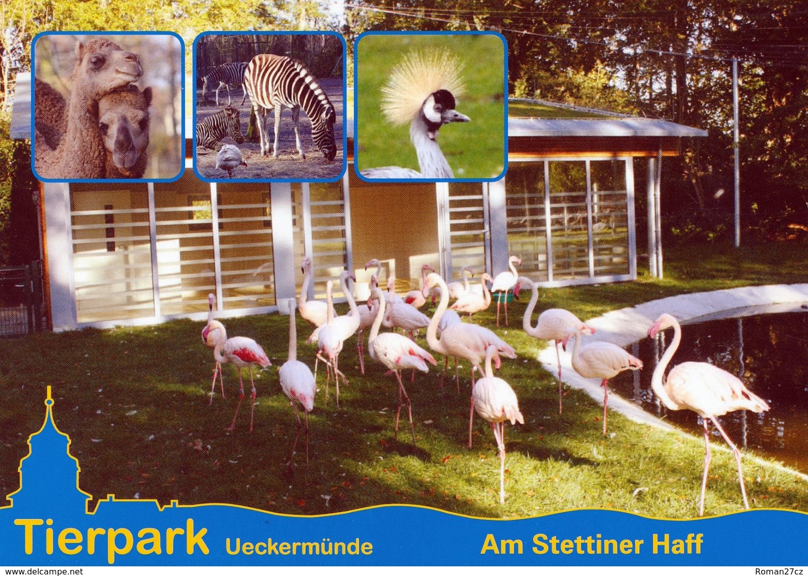 Tierpark Ueckermünde, Germany - Camel, Zebra, Crane, Flamingo - Ueckermuende