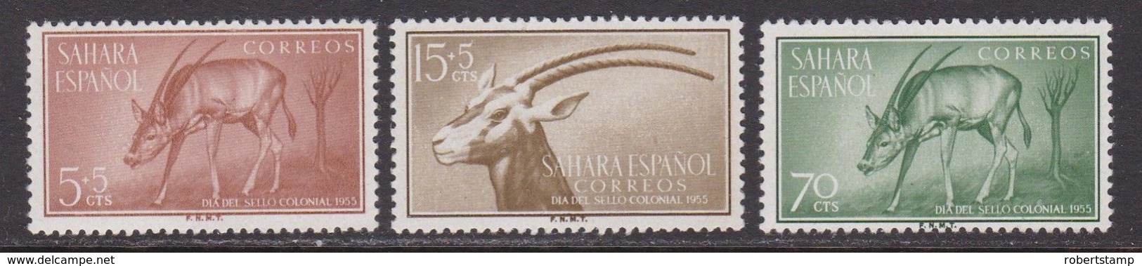 SAHARA 1955 - Serie Nueva Sin Fijasellos Edifil Nº 123/125 - MNH - - Spanische Sahara