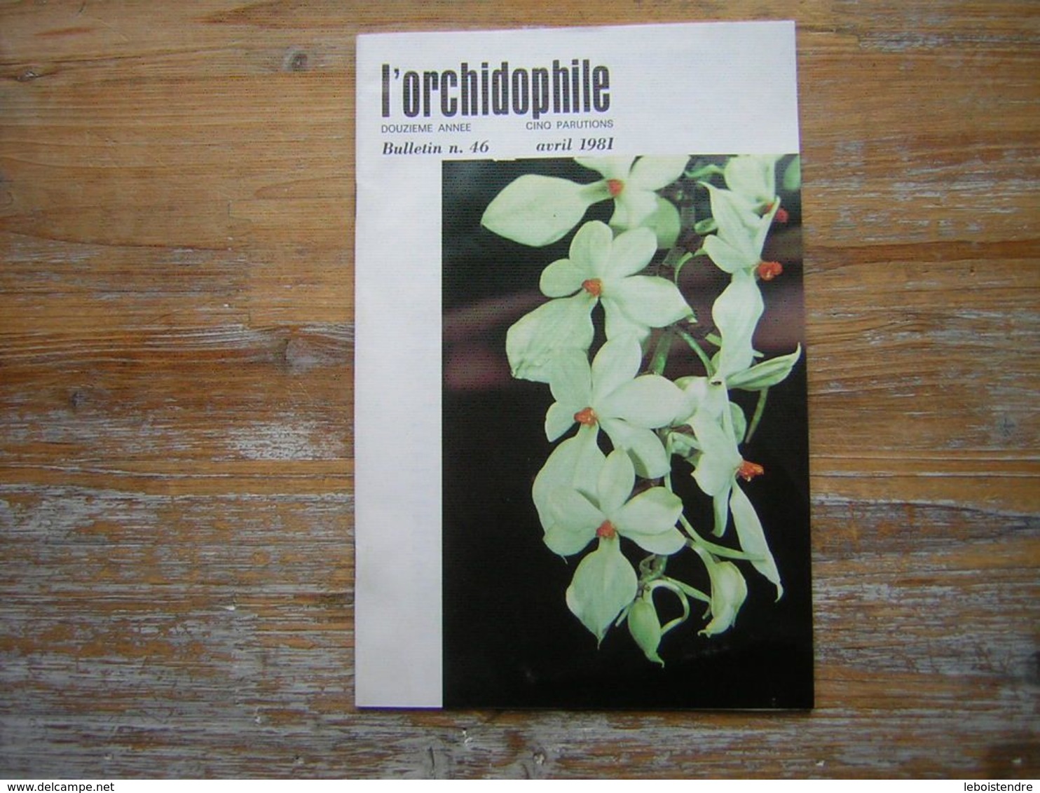 L'ORCHIDOPHILE Douzieme Annee  BULLETIN N° 46  AVRIL 1981 - Tuinieren