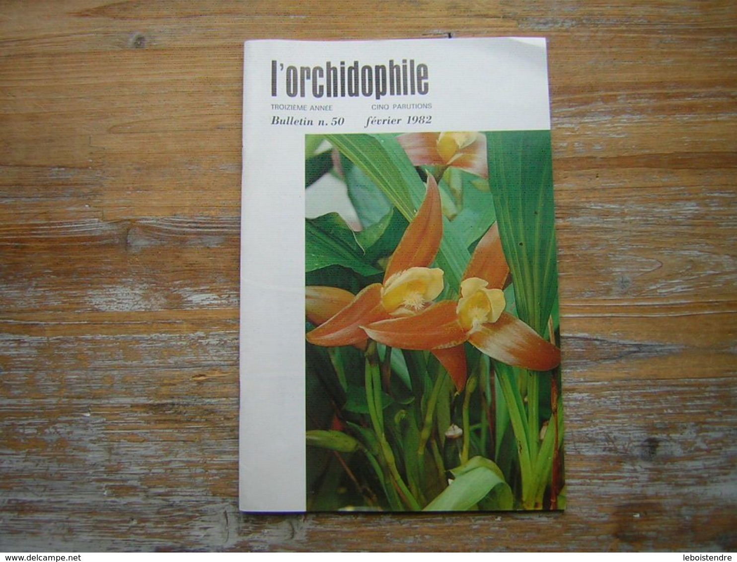 L'ORCHIDOPHILE Troiziéme Année  BULLETIN N° 50 FEVRIER 1982 - Garden