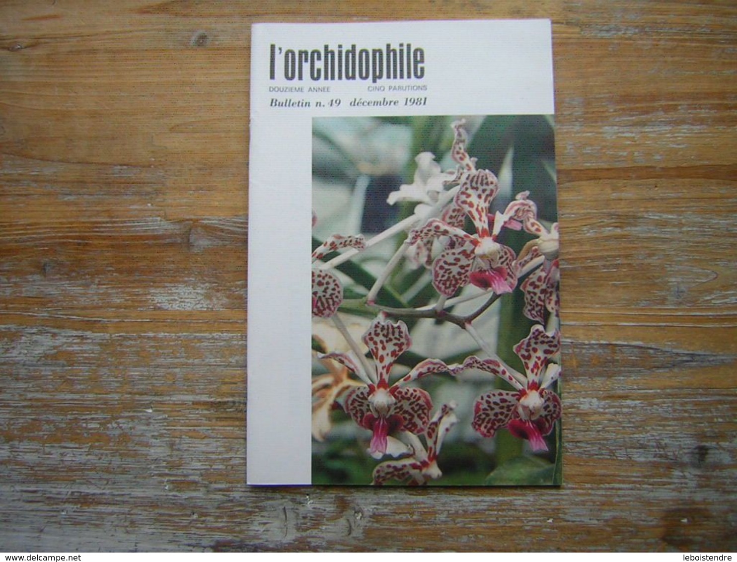 L'ORCHIDOPHILE Douziéme Année  BULLETIN N° 49 DECEMBRE 1981 - Garden