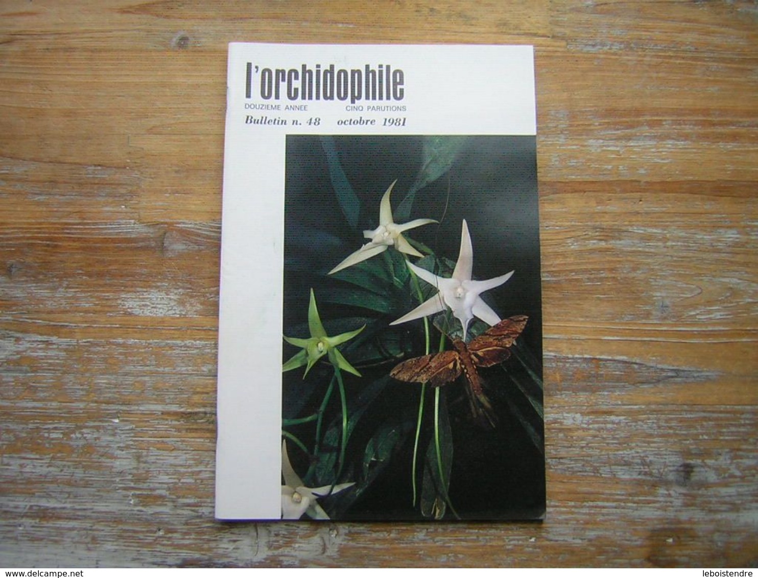 L'ORCHIDOPHILE Douziéme Année  BULLETIN N° 48 OCTOBRE 1981 - Jardinería