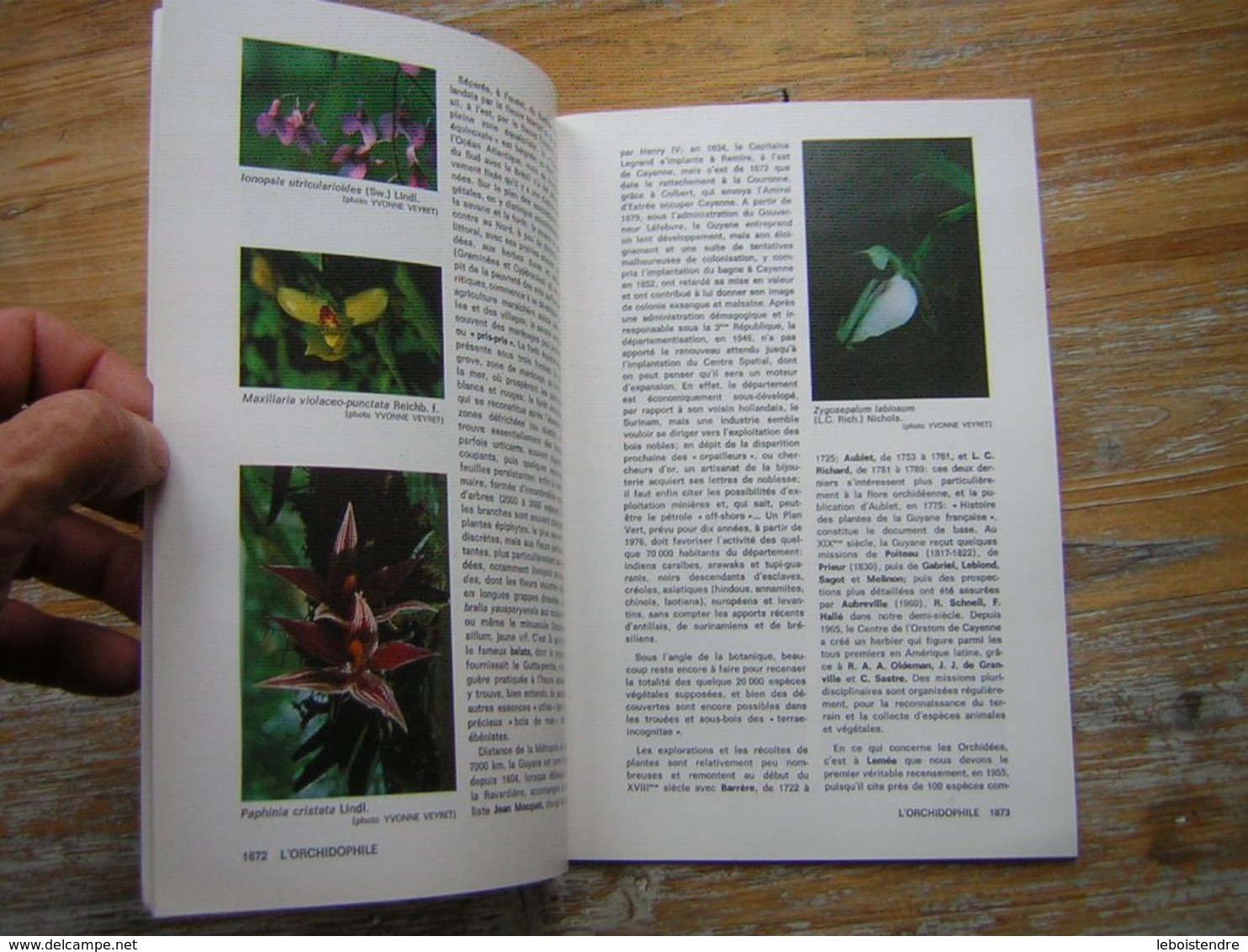 L'ORCHIDOPHILE Douziéme Année  BULLETIN N° 48 OCTOBRE 1981 - Jardinería