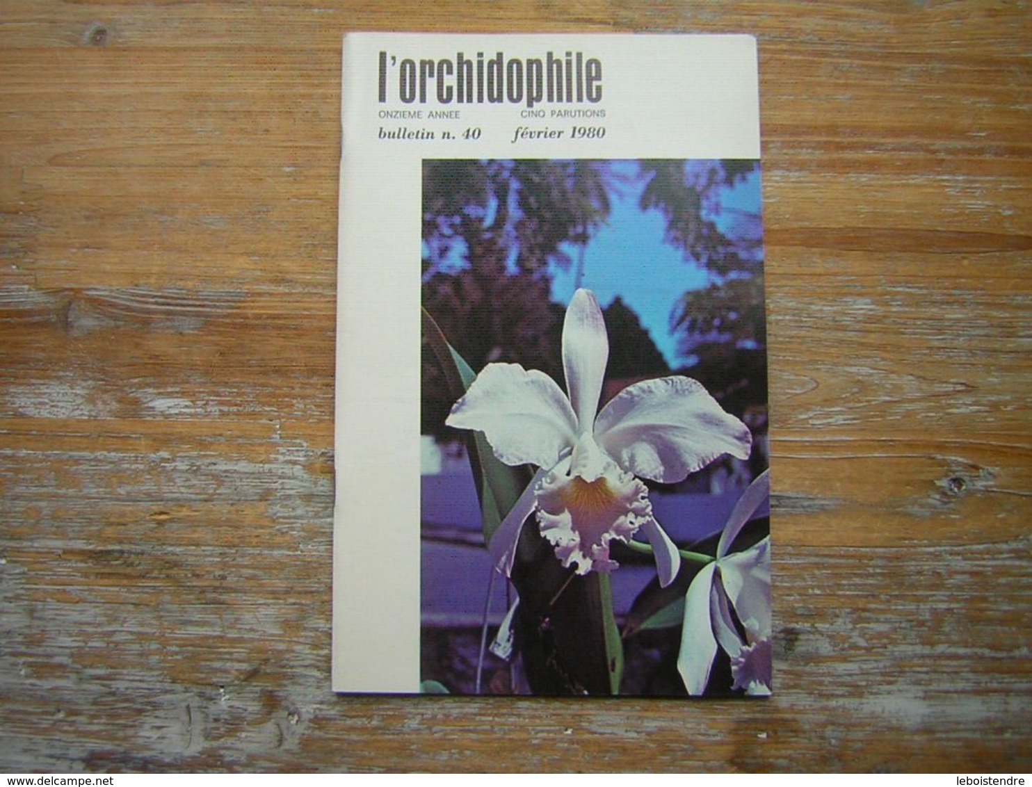 L'ORCHIDOPHILE Onzieme Année BULLETIN N° 40 FEVRIER 1980 - Jardinería